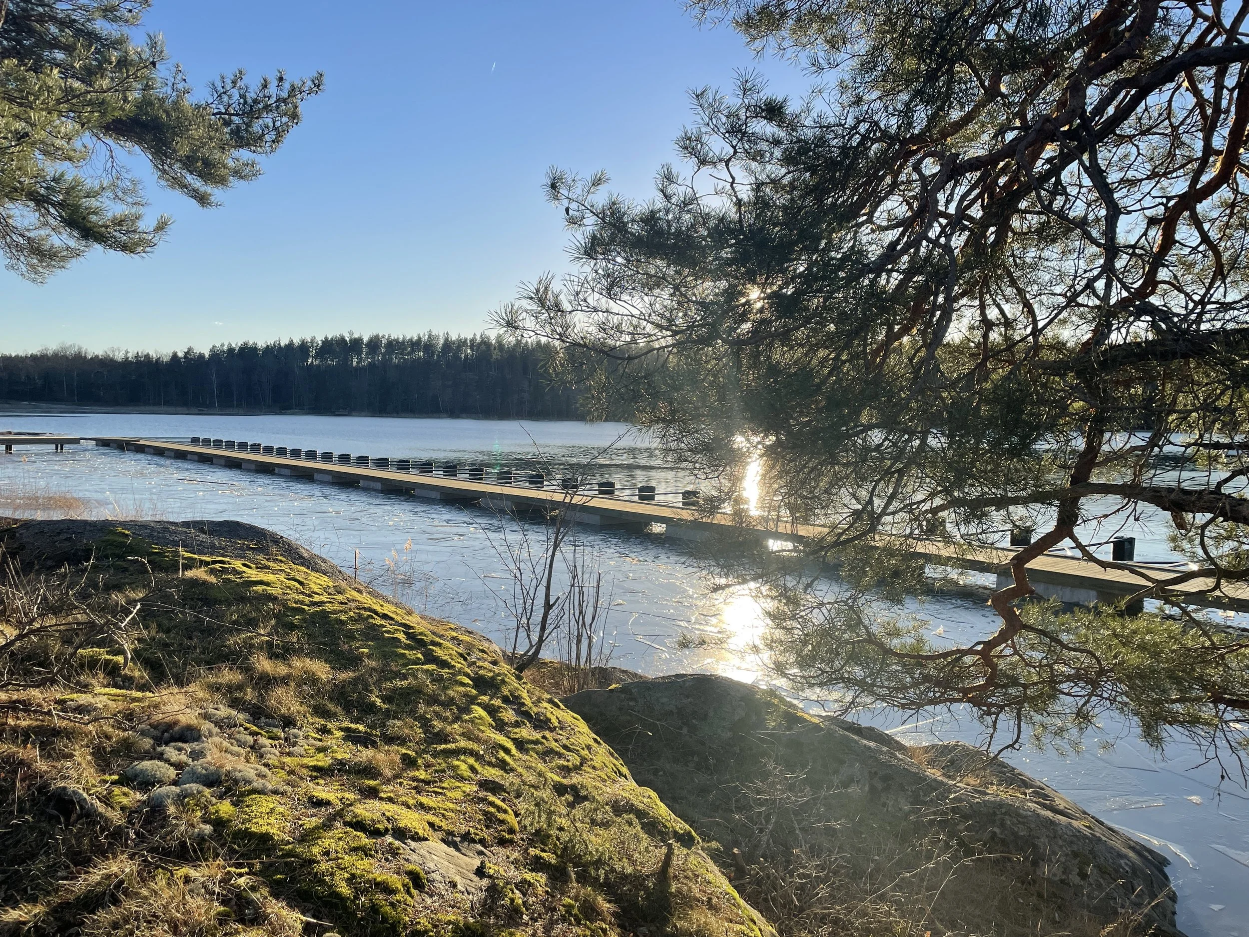 Örnviken