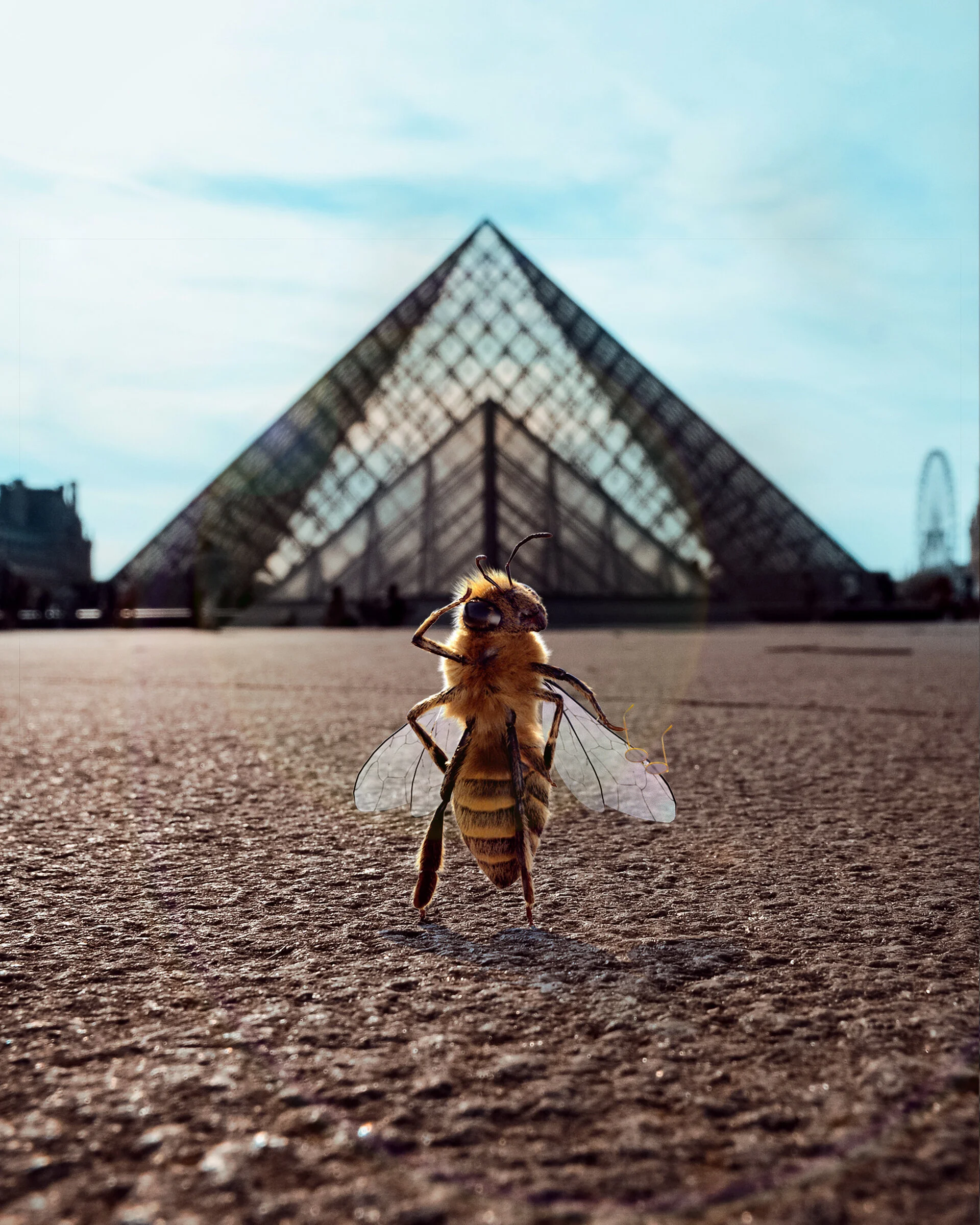 BEE LOUVRE 4.jpg