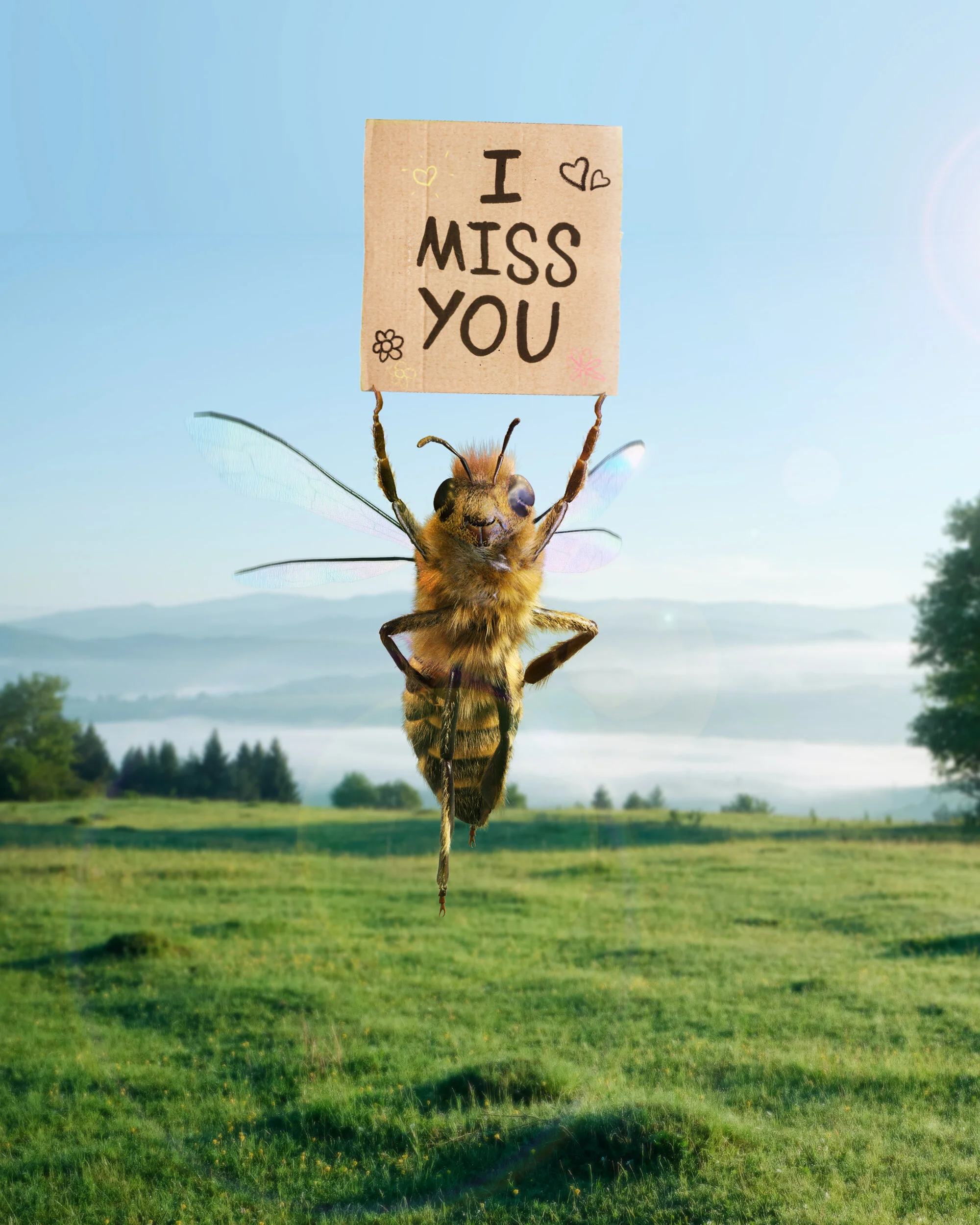 BEE PANCARTE V1.jpg