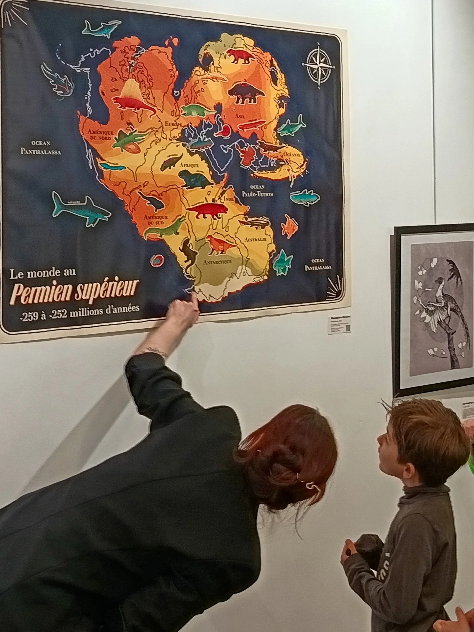 Exposition dinosaures Clemence Dupont (27).jpg