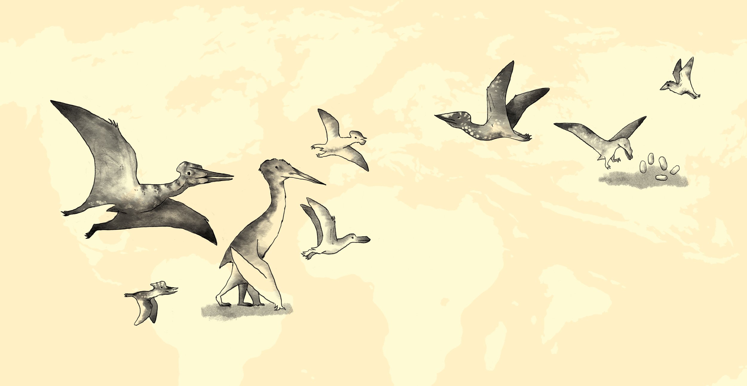 Pterosaurs paleoart