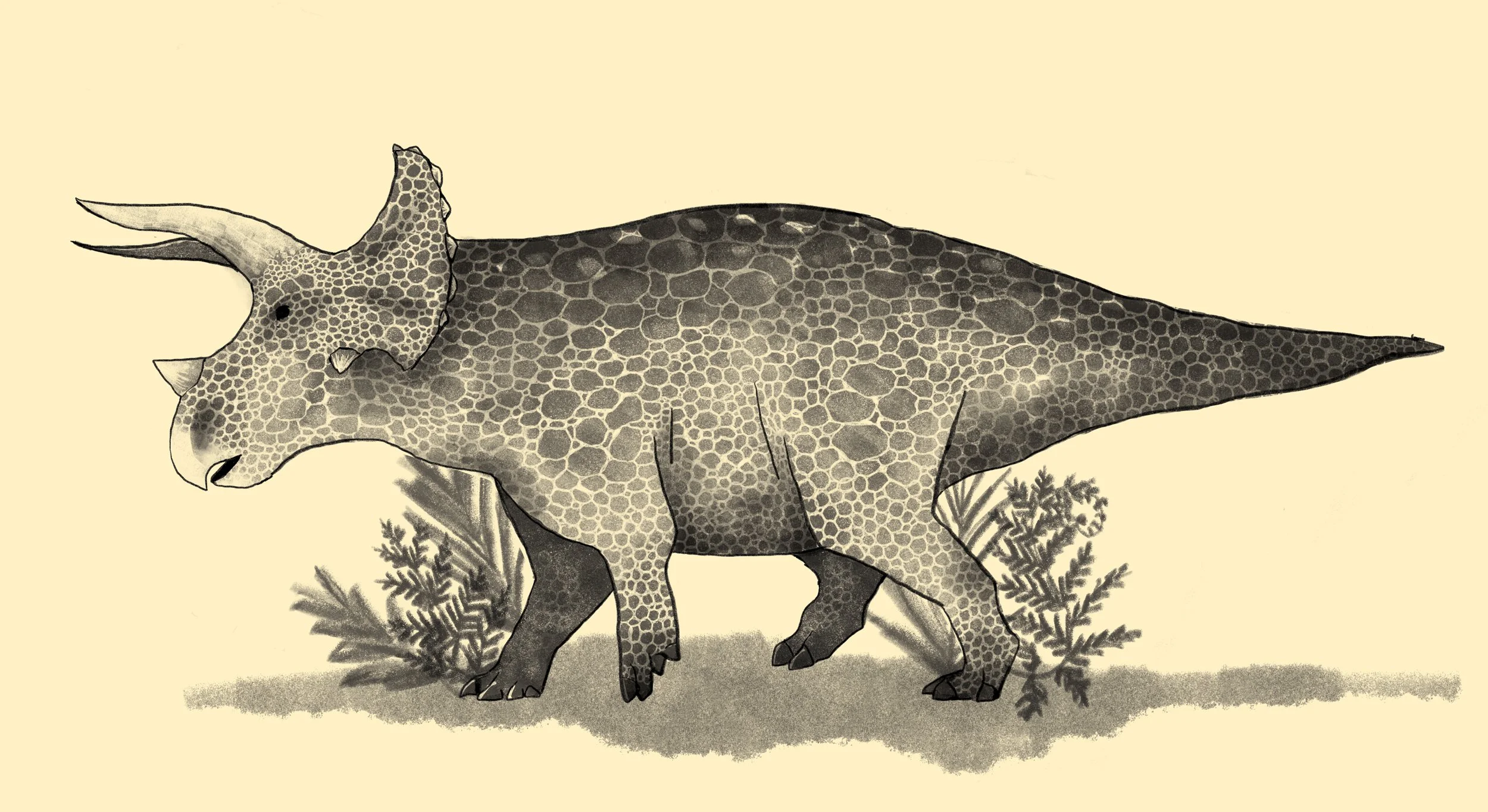 Triceratops paleoart
