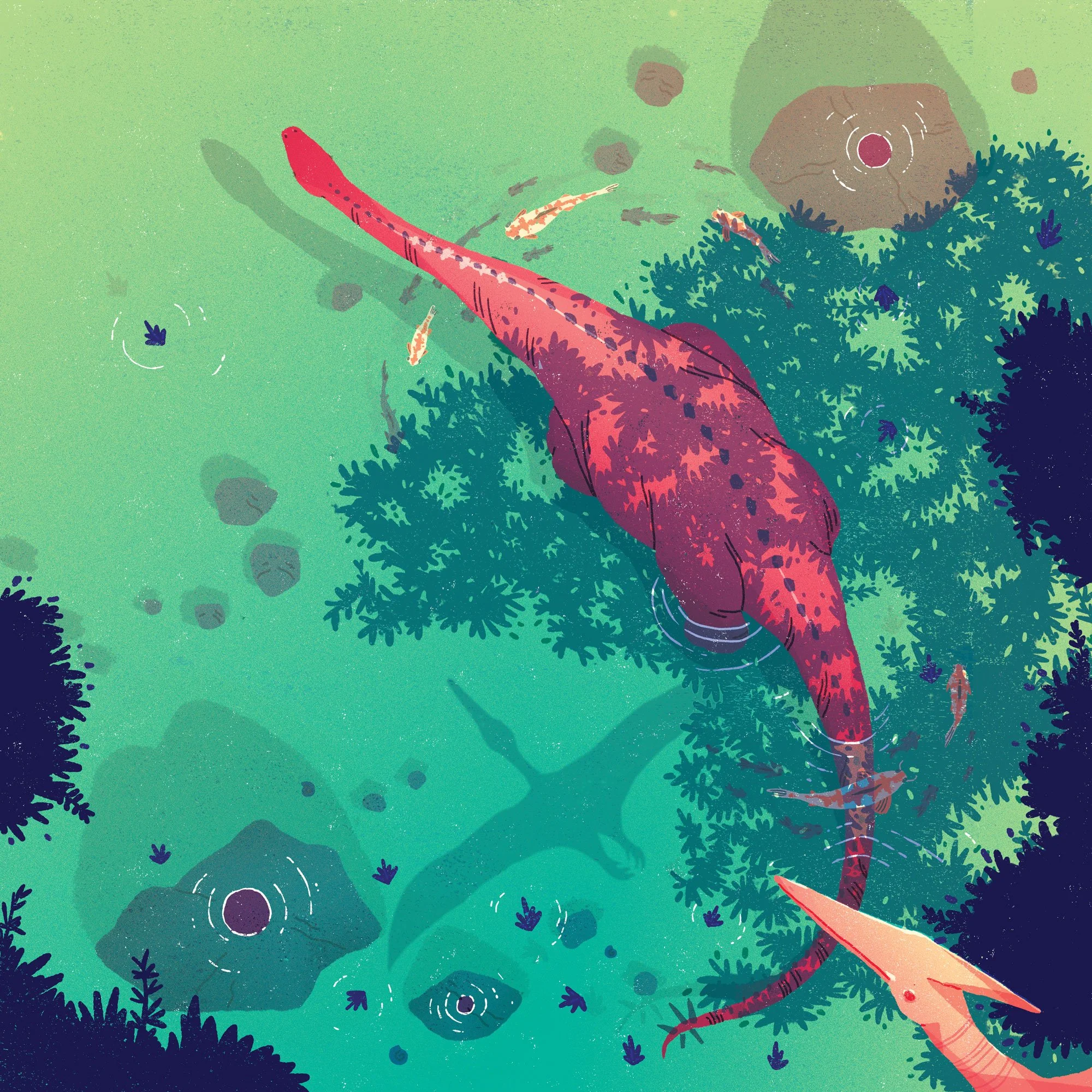 Print Diplodocus illustré par Clémence Dupont — disponible en plusieurs formats (20×20 cm, 30×30 cm). Décoration murale artistique.