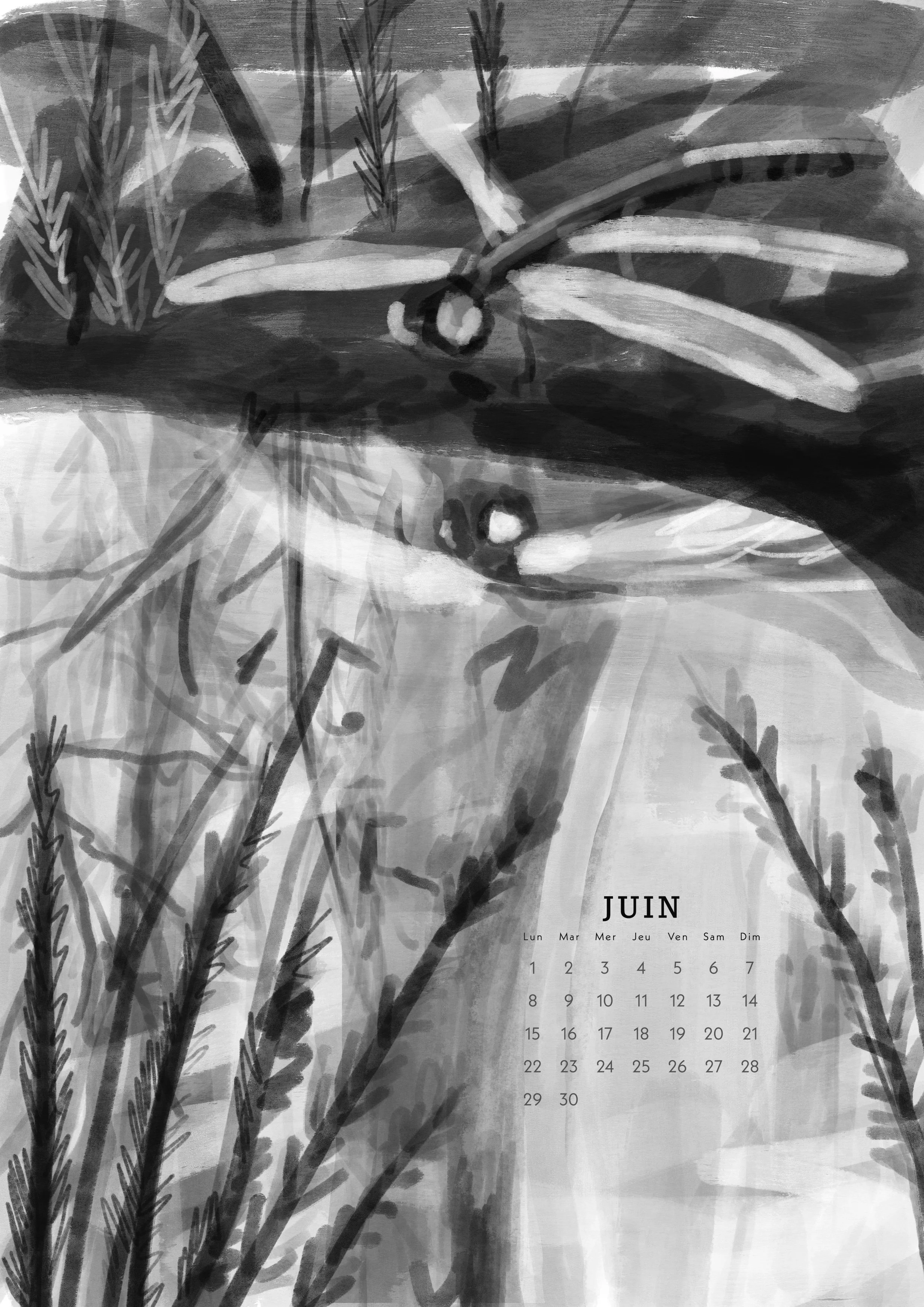 6.Carbonifère.JUIN .JPG