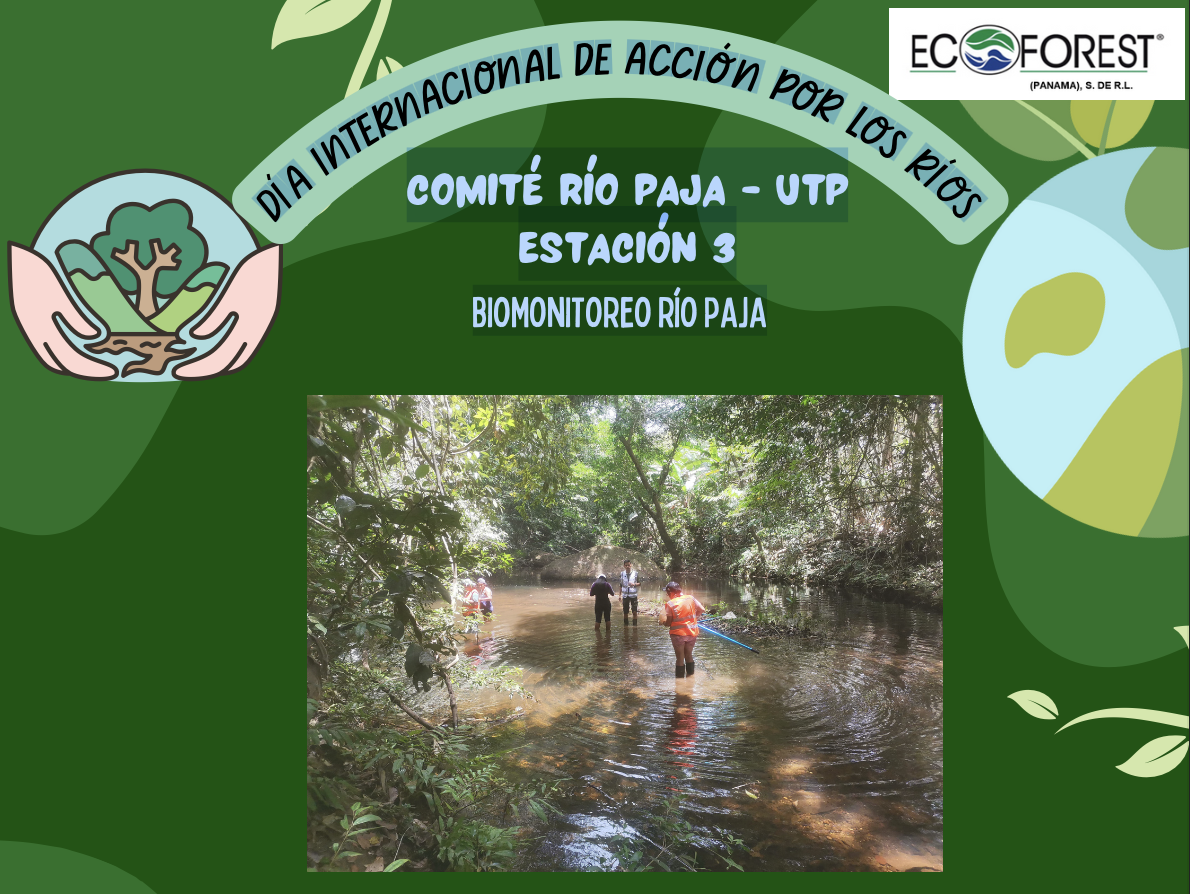 DÍA INTERNACIONAL DE ACCIÓN POR LOS RÍOS - COMITÉ RÍO PAJA - UTPESTACIÓN 3 BIOMONITOREO RÍO PAJA