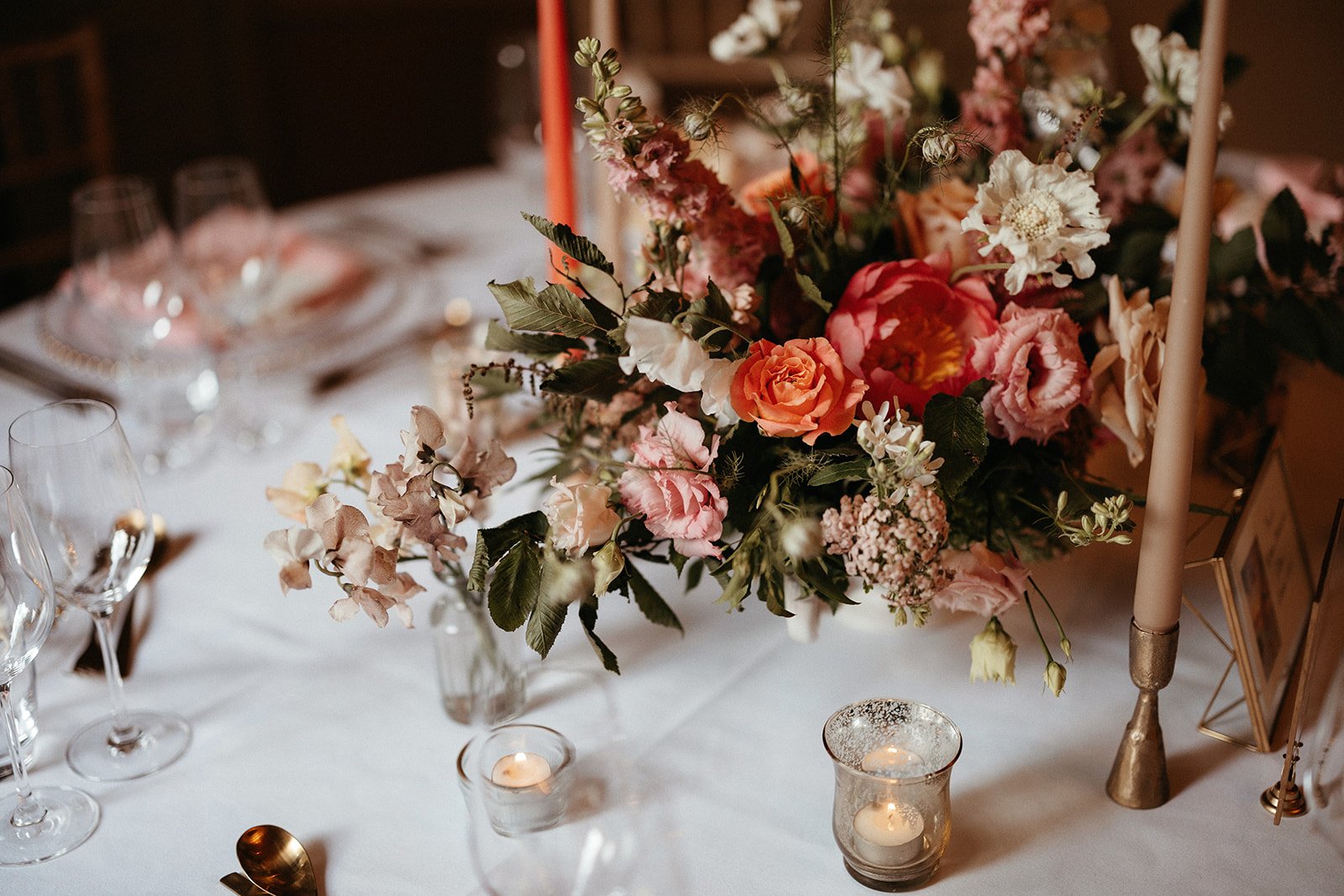 SALVIA + TOM 0494.jpg