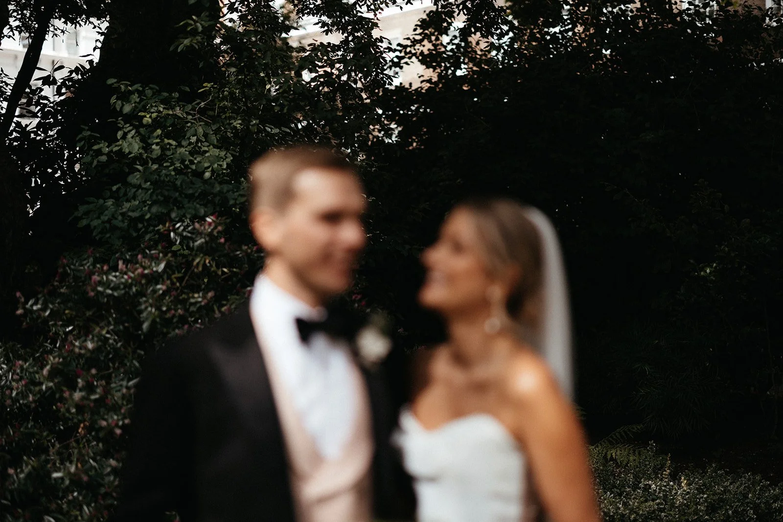 SALVIA + TOM 0392.jpg