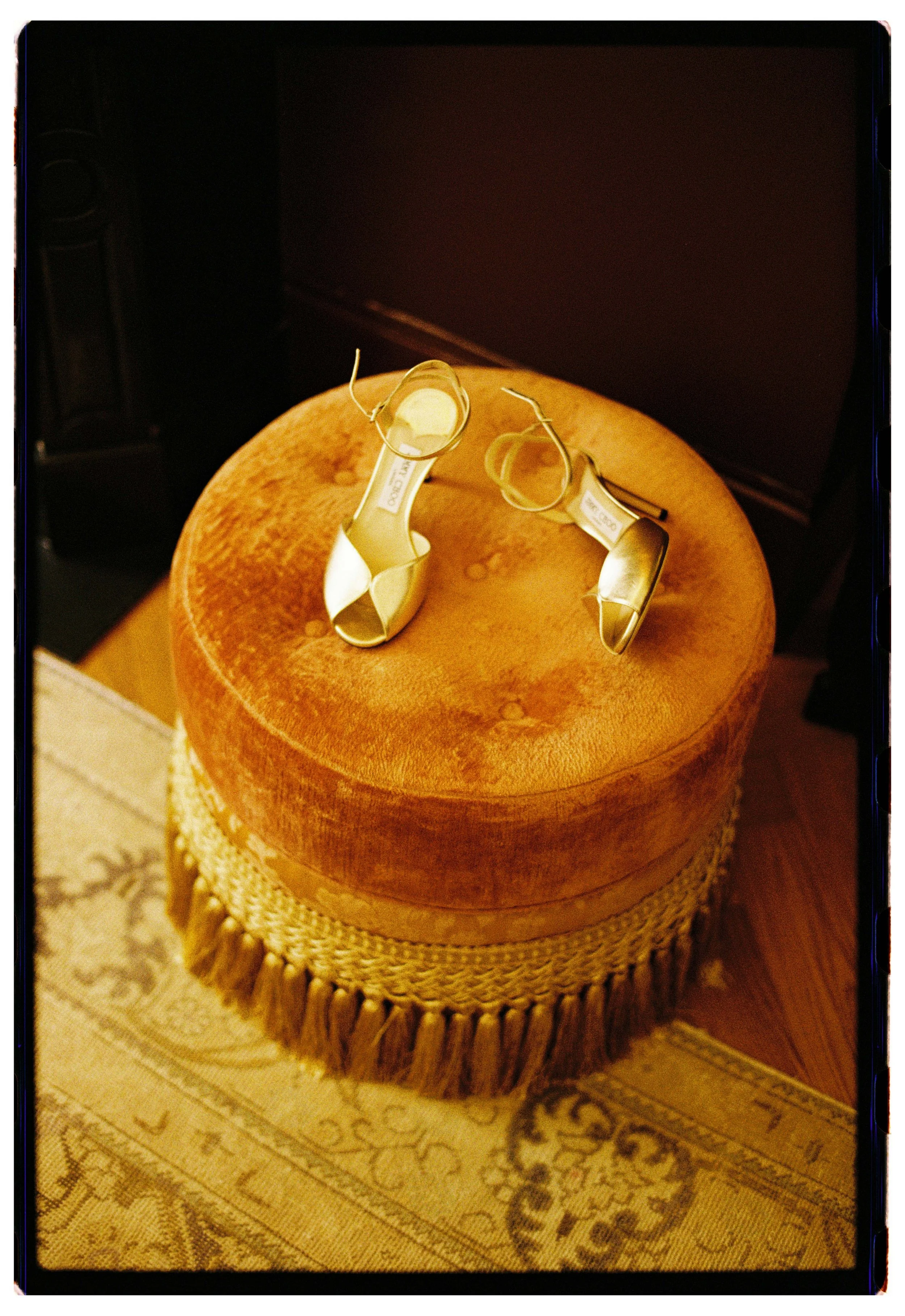 autumn_2025_0012 copy.jpg