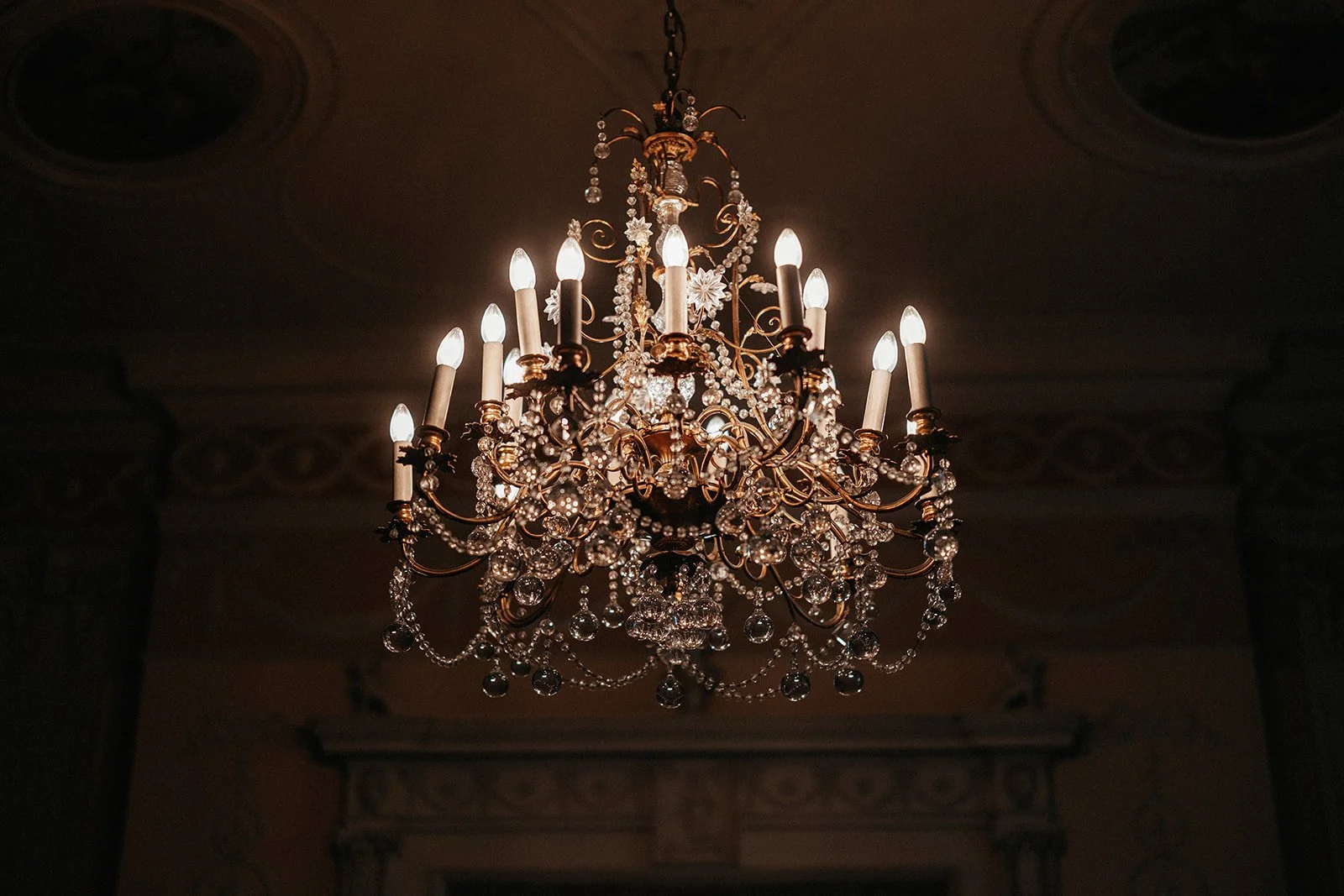 SALVIA + TOM 0504.jpg