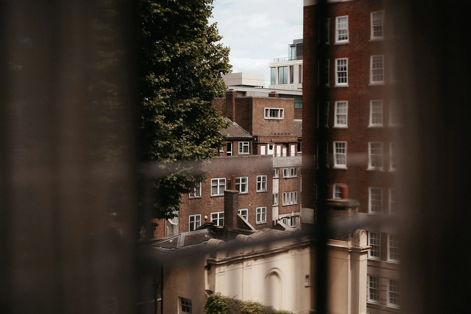 SALVIA + TOM 0052.jpg