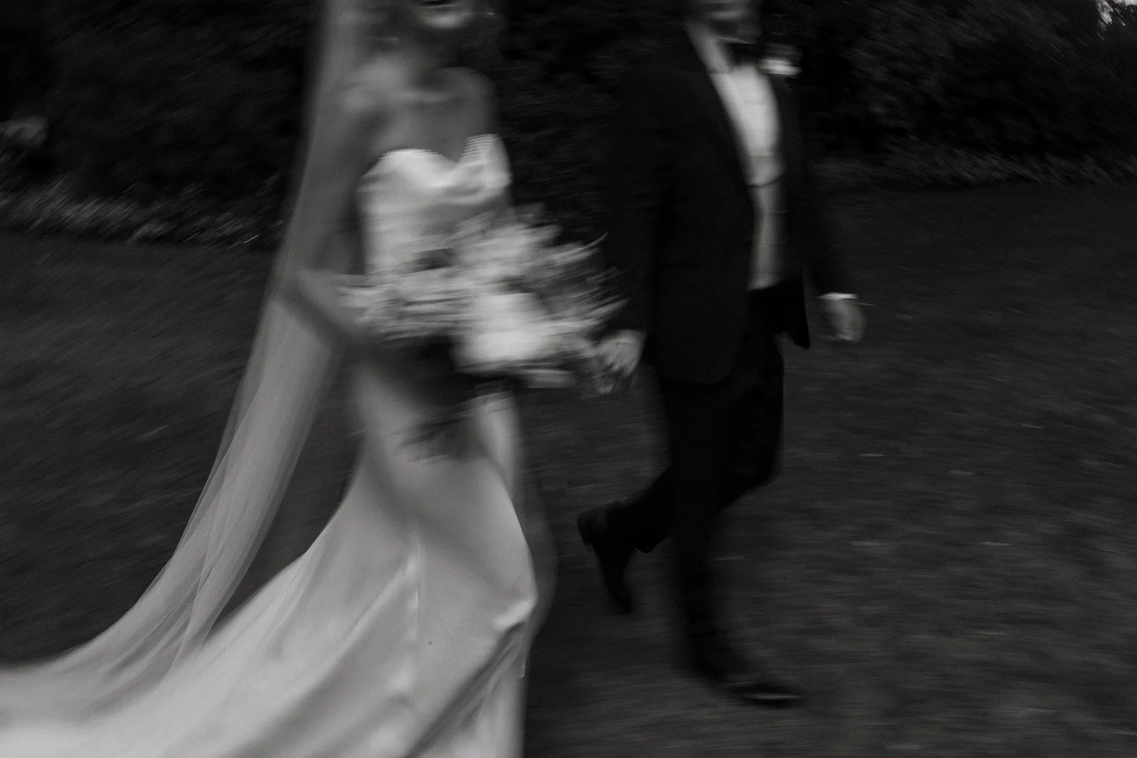 SALVIA + TOM 0401.jpg