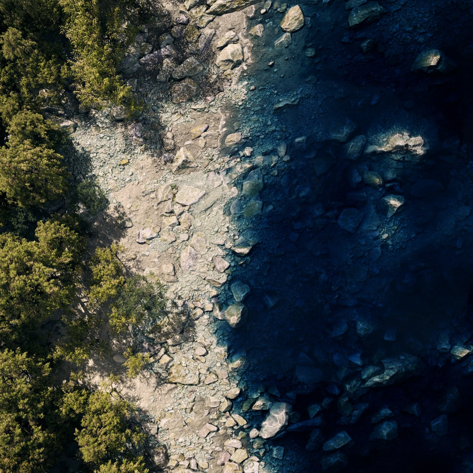 Digital Forest | Environment Design