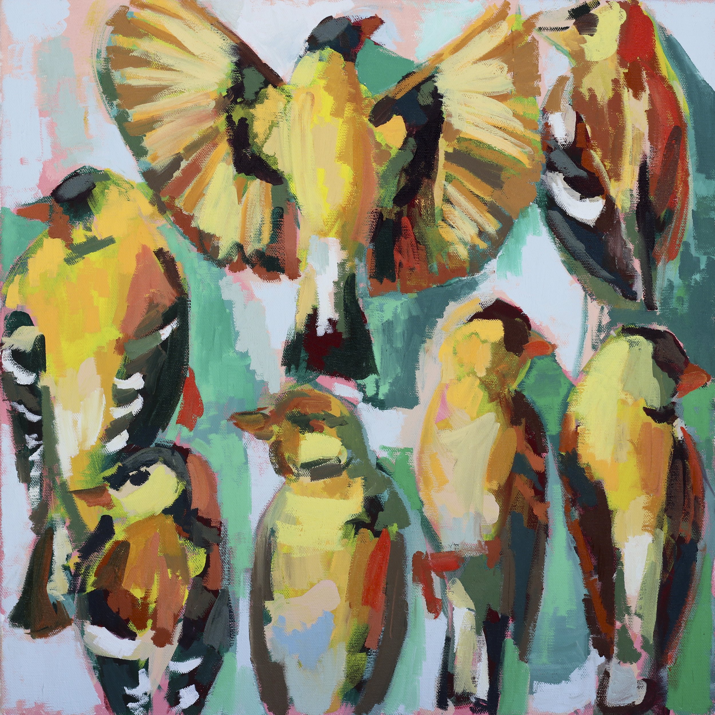 2026.05 Goldfinch_18x18-14.JPG