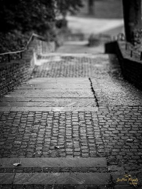 EU Stairs Medium.jpeg