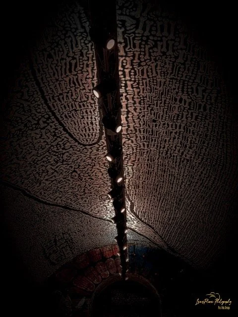 Ceiling Bones copy Medium.jpeg