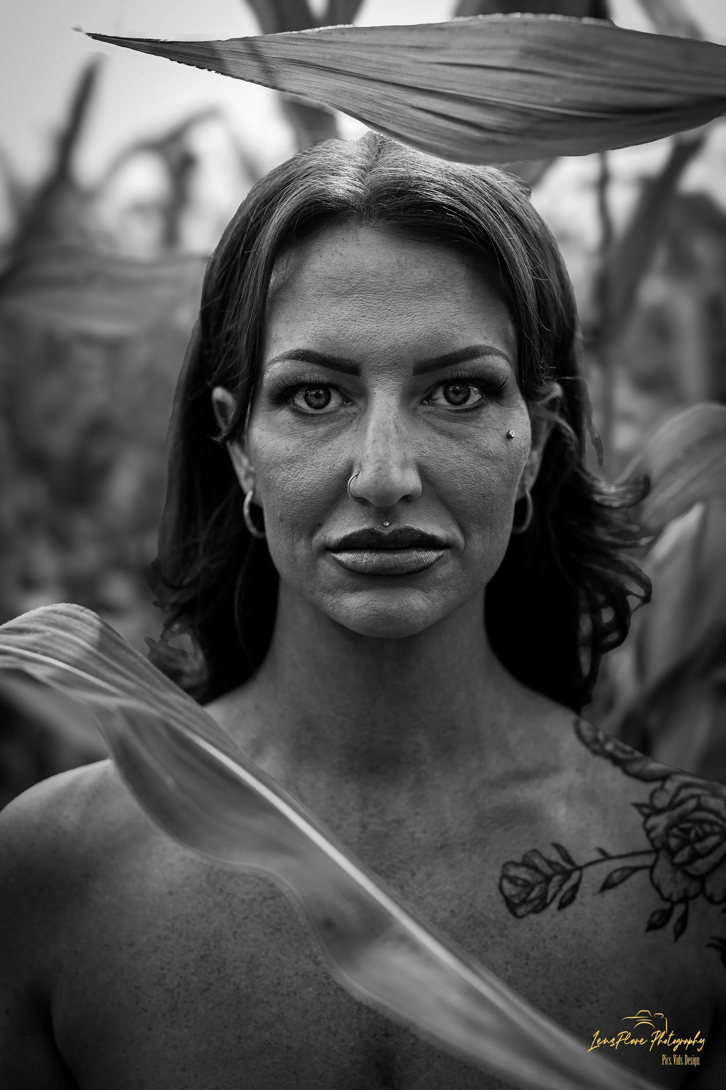 Field of Dreams-1.jpg