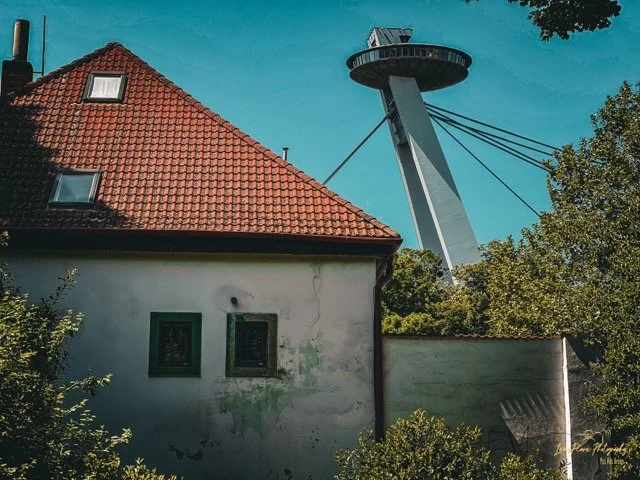 EU Spaceship Medium.jpeg