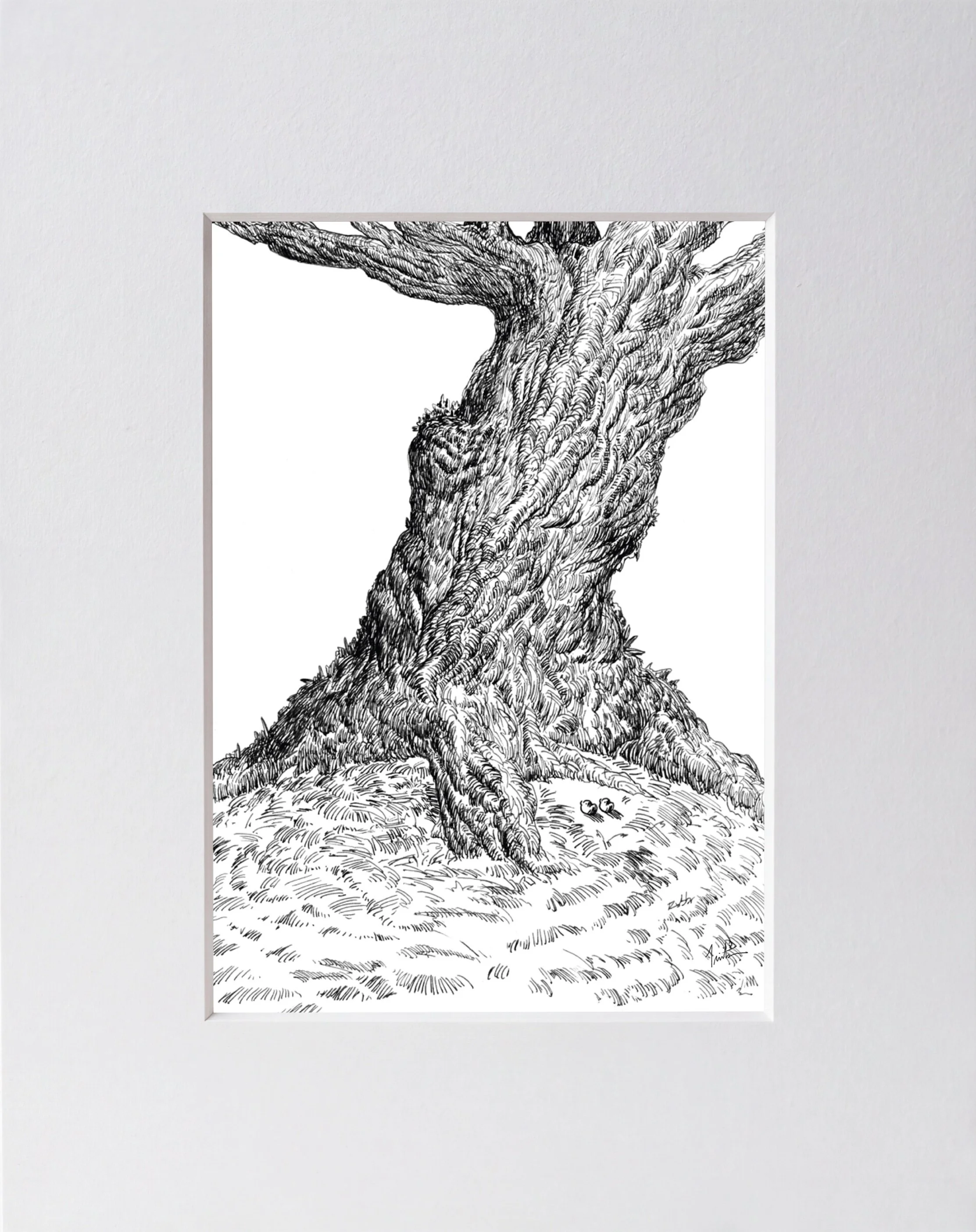 Meet At The Big Tree, Ink On Paper, 2026