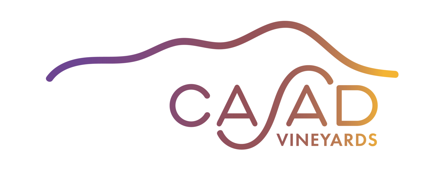 Casad Vineyards