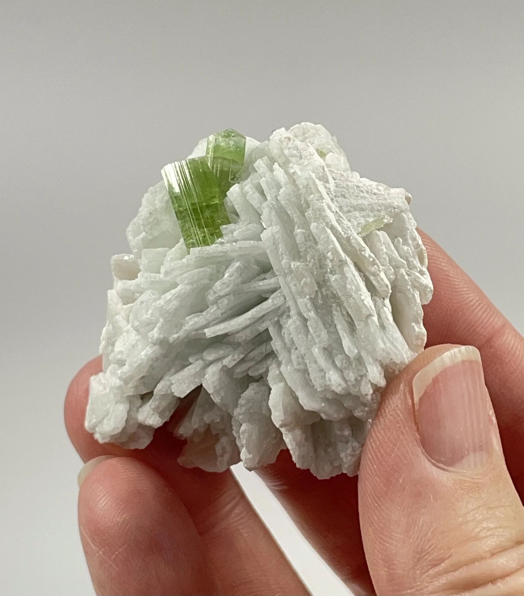 Bicolor “Cat’s Eye” Green Tourmaline Crystals with Cleavelandite
