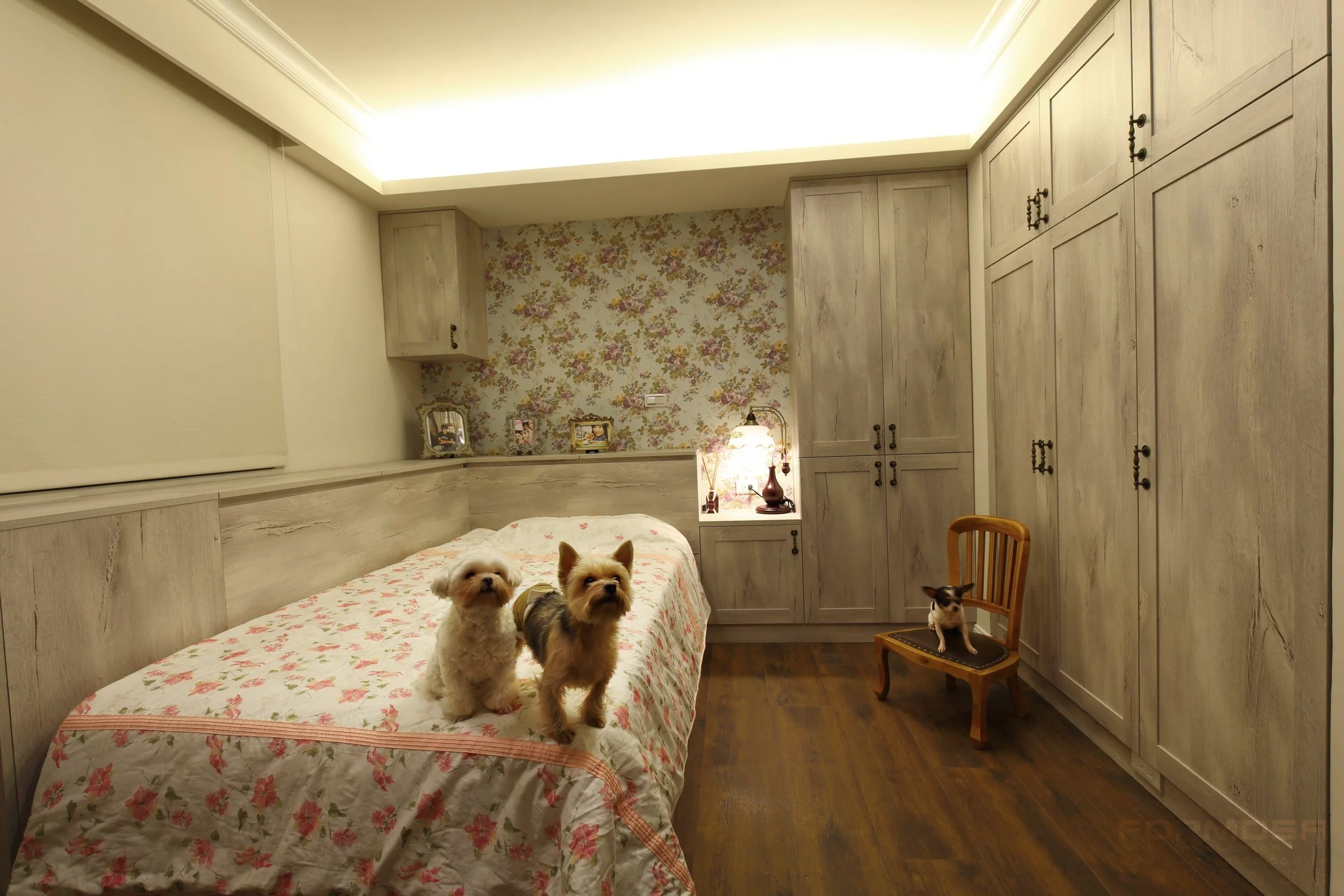 溫度制造所 室內設計 新屋 預售屋客變 老屋翻修寵物宅 黃宅