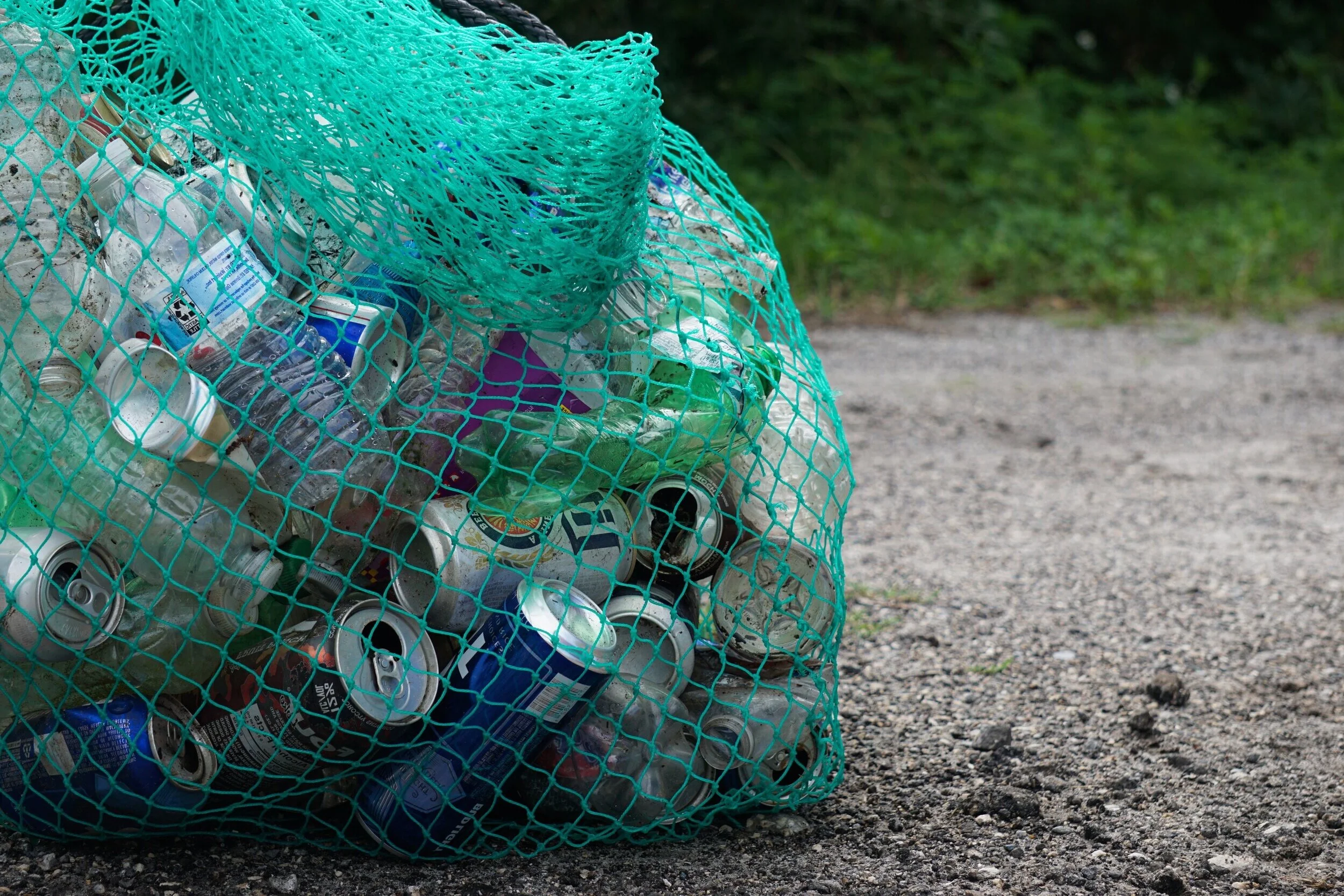 Coastal Cleanup Day at Castro Valley Creek