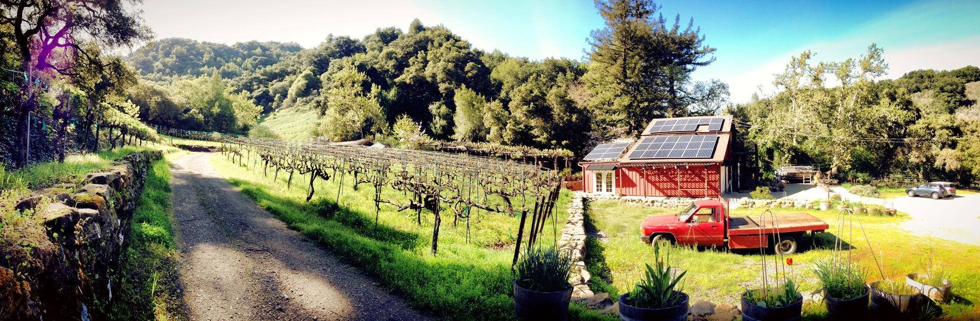   Chouinard Winery on Palomares Road, soon to become a public park.   