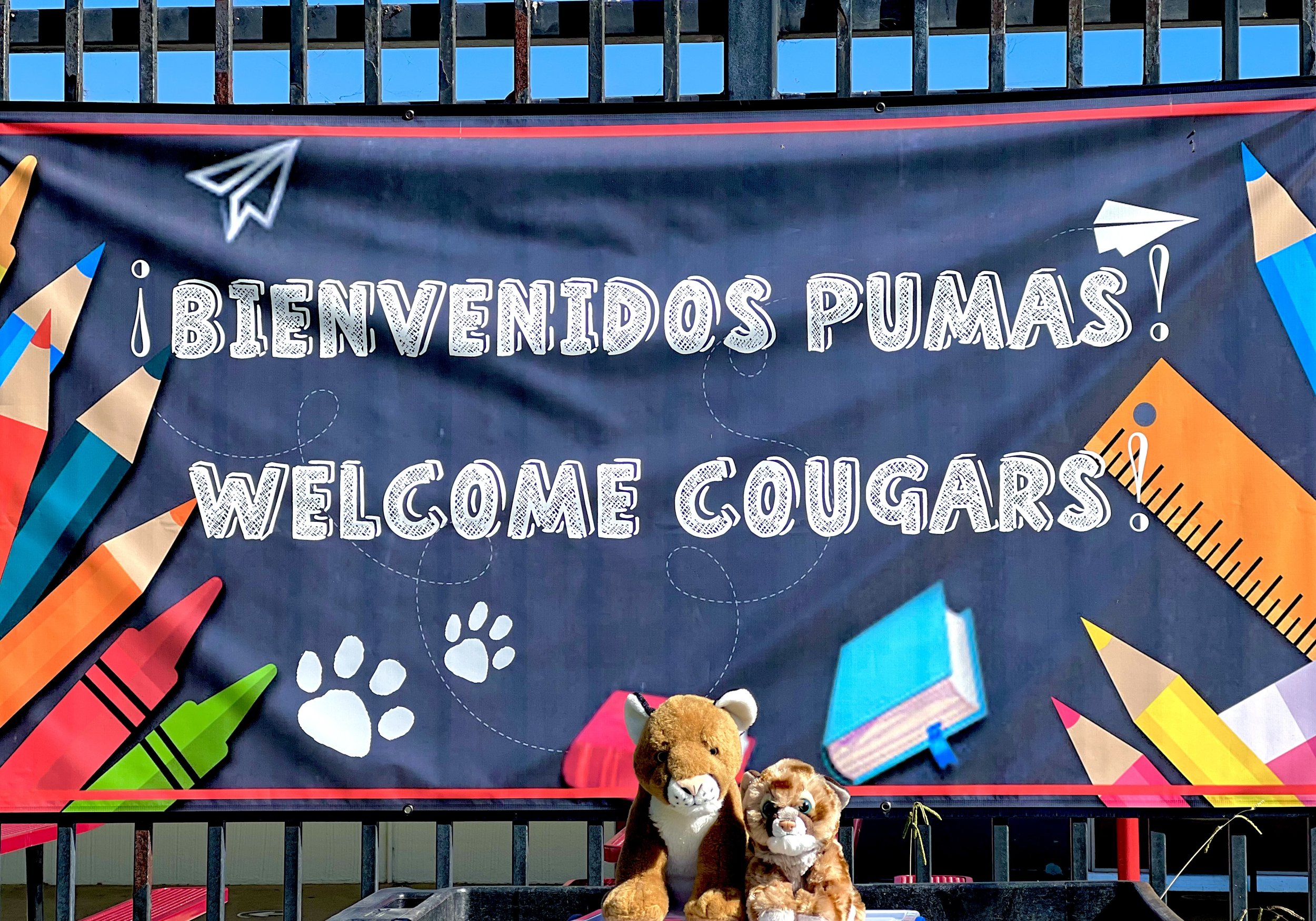 Pío Pico Spanish Dual Language Immersion Academy / Overview