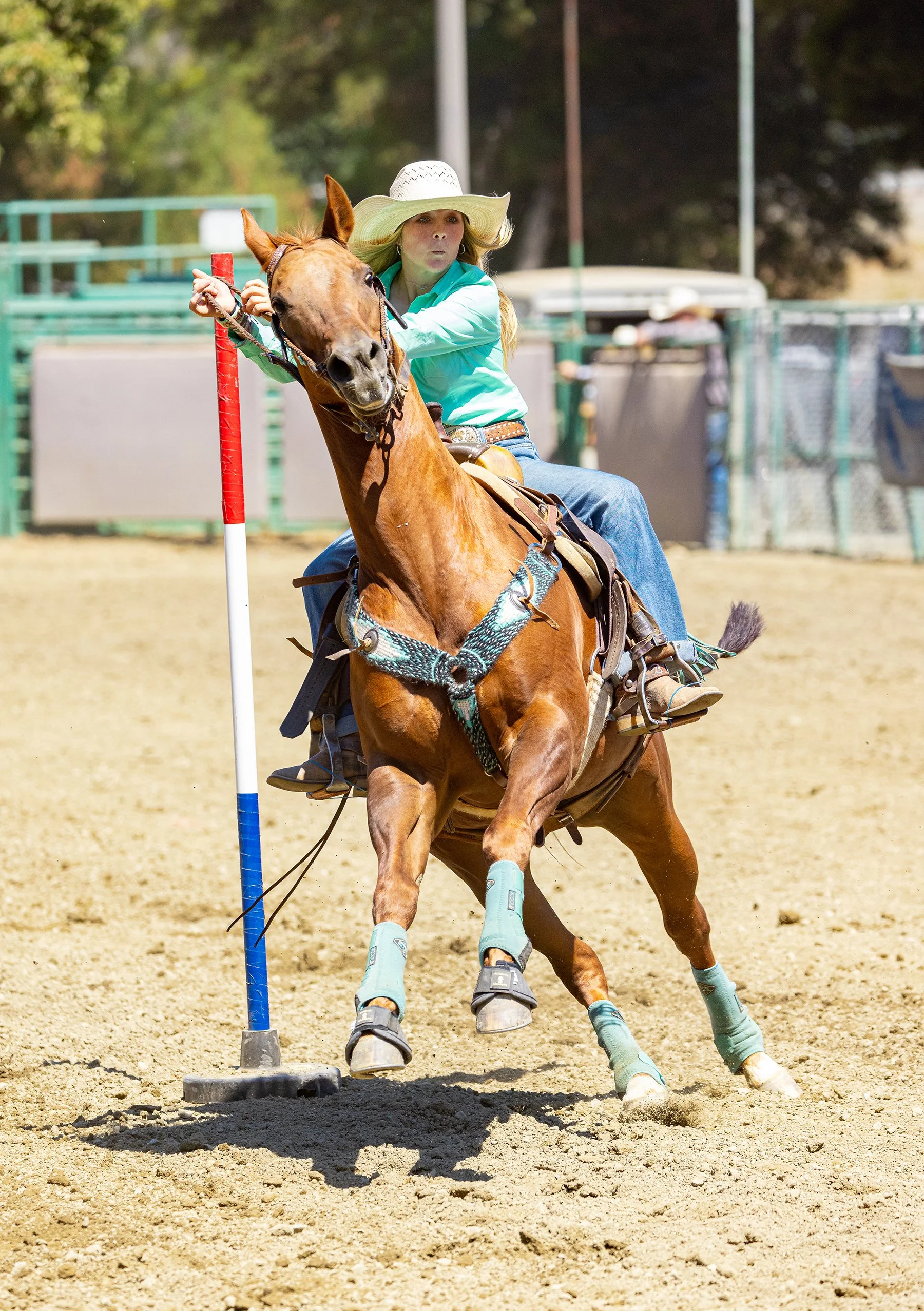 Rowell Ranch Jr. Rodeo “Here’s a Go!” — CASTRO VALLEY FORUM