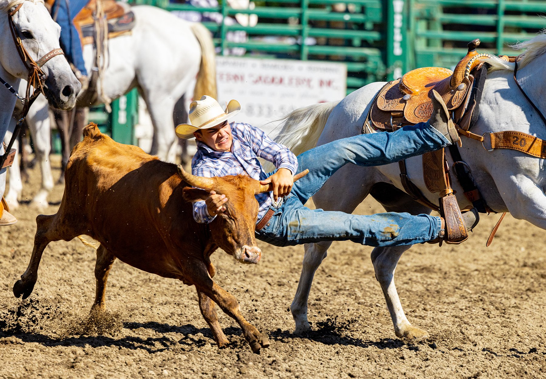 Rowell Ranch Jr. Rodeo “Here’s a Go!” — CASTRO VALLEY FORUM