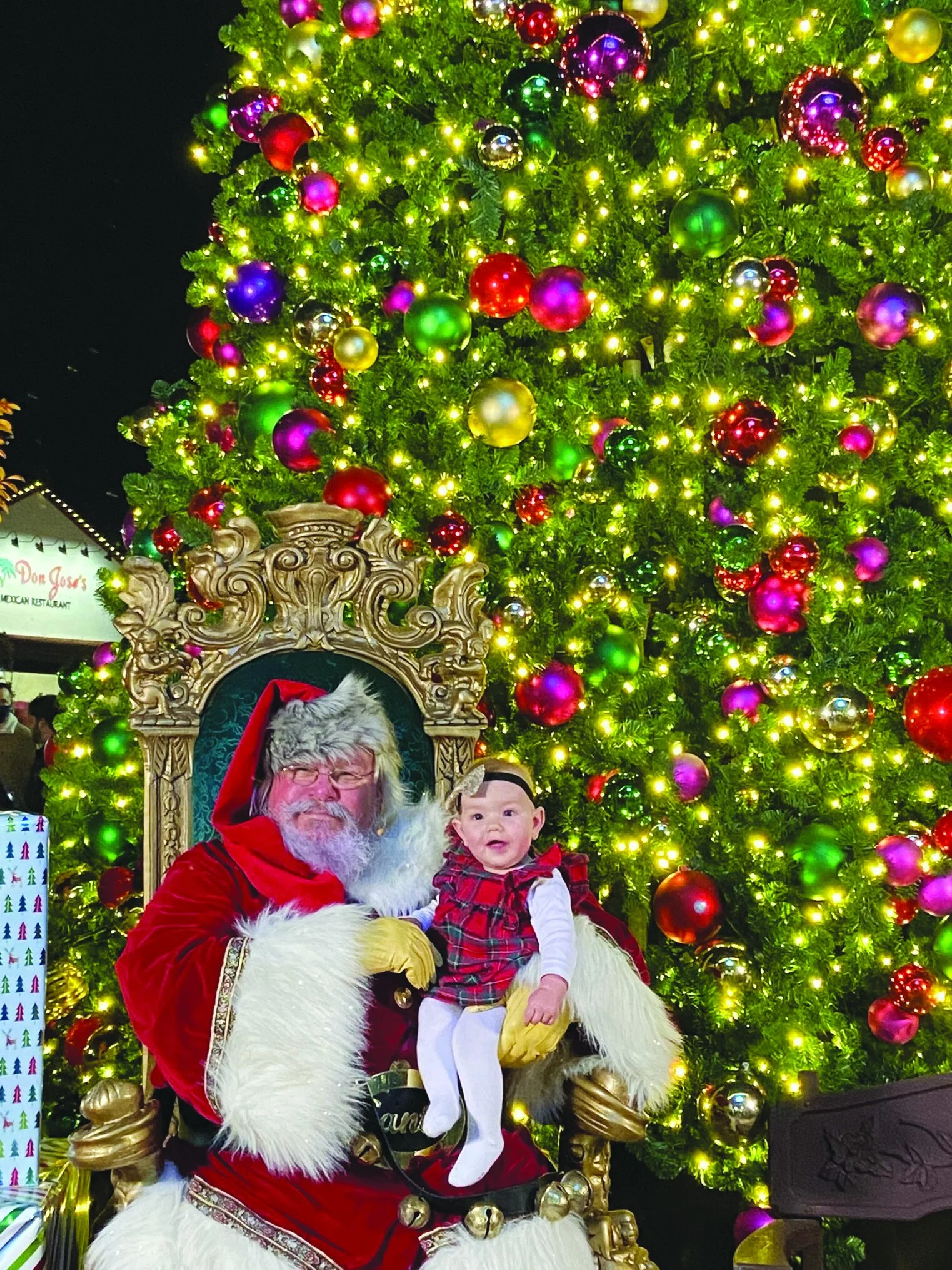 Castro Village Lights its Christmas Tree — CASTRO VALLEY FORUM