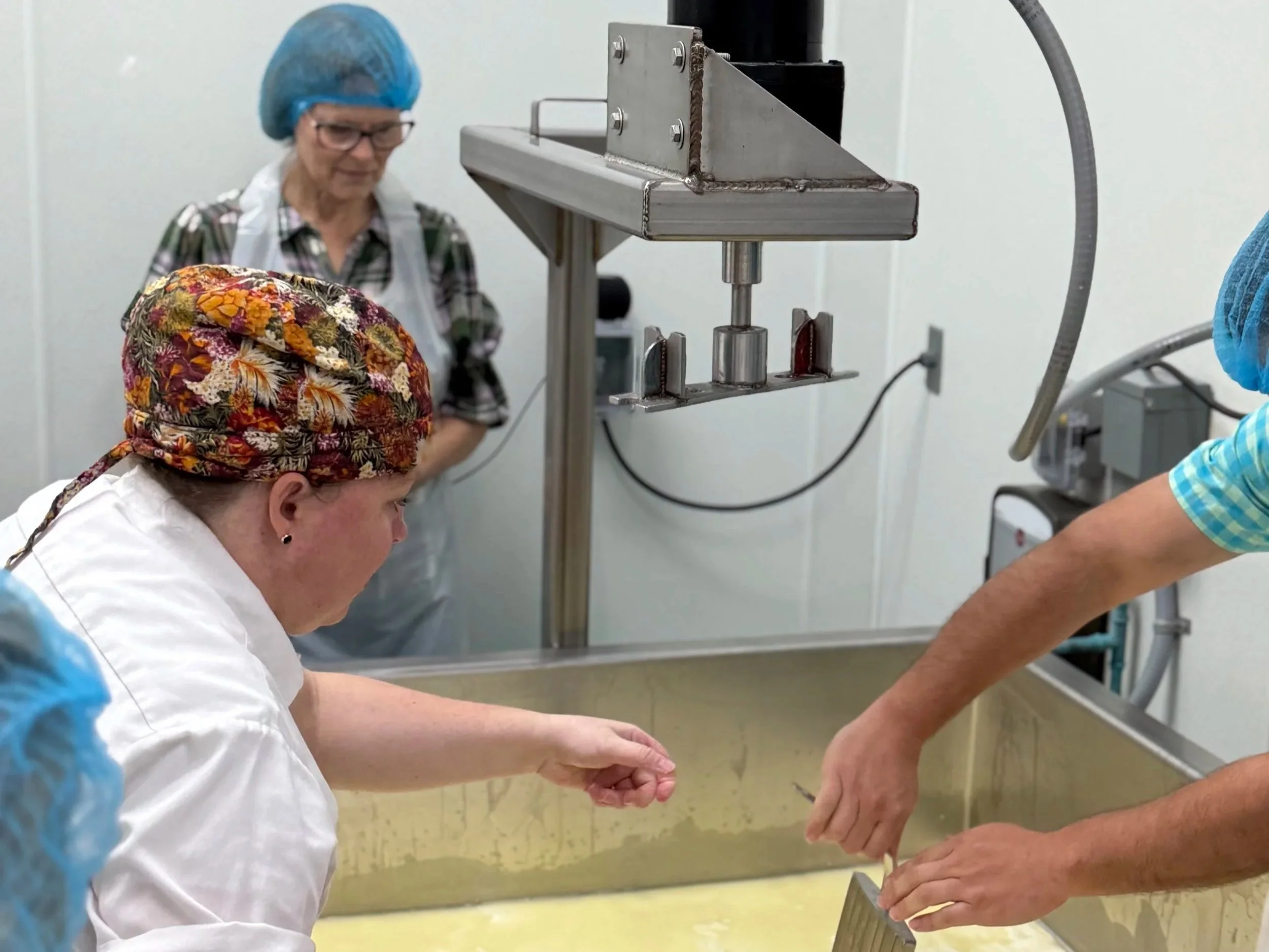 Advanced Cheese Making Class - Milled Curd (Cheddar Style)