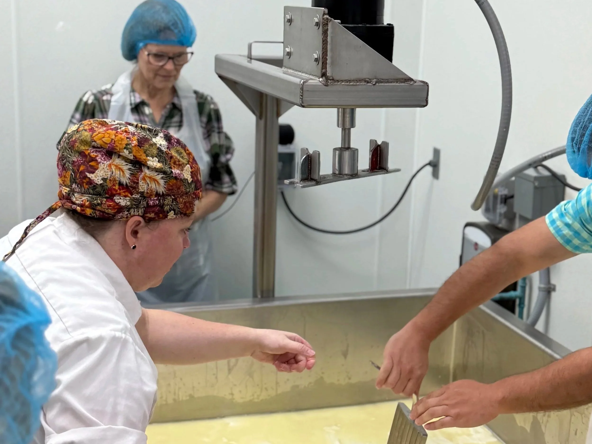 Advanced Cheese Making Class - Milled Curd (Cheddar Style)