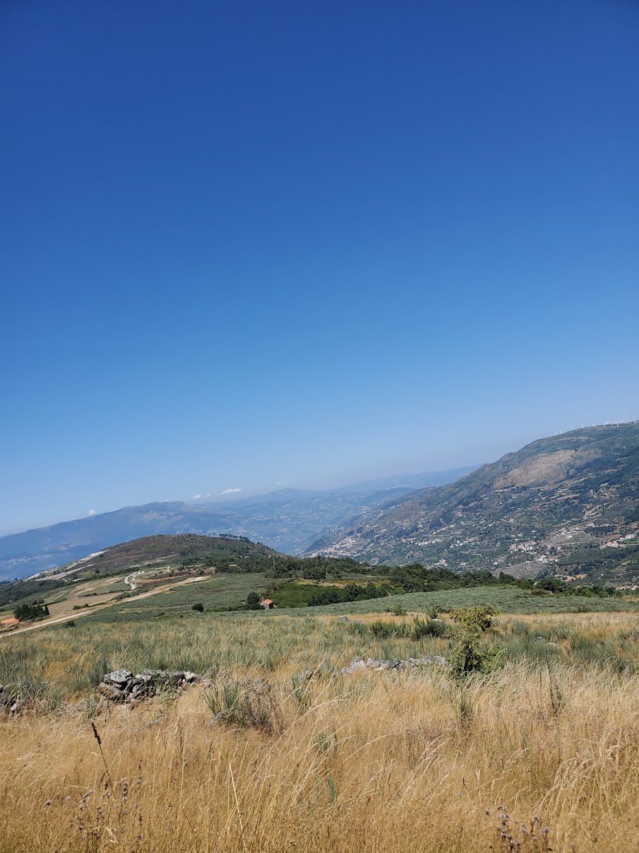 Switchbacks.jpeg