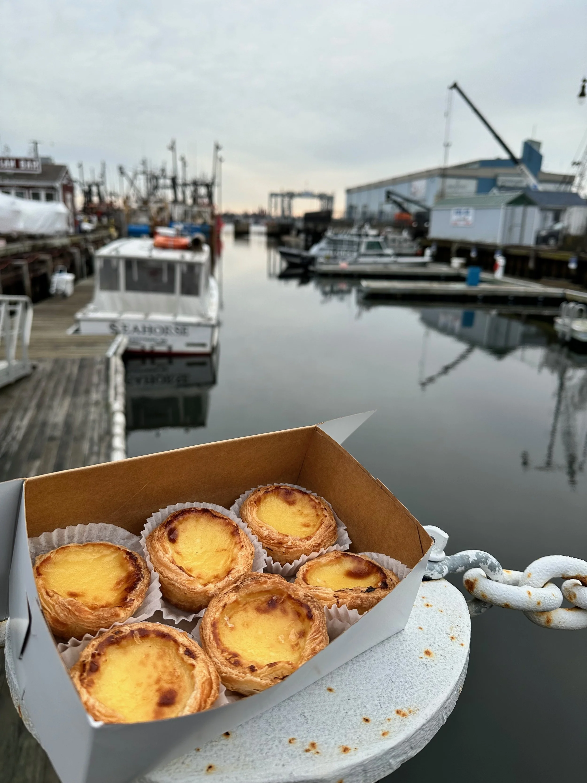 Where to find the Portuguese custard tarts in Massachusetts