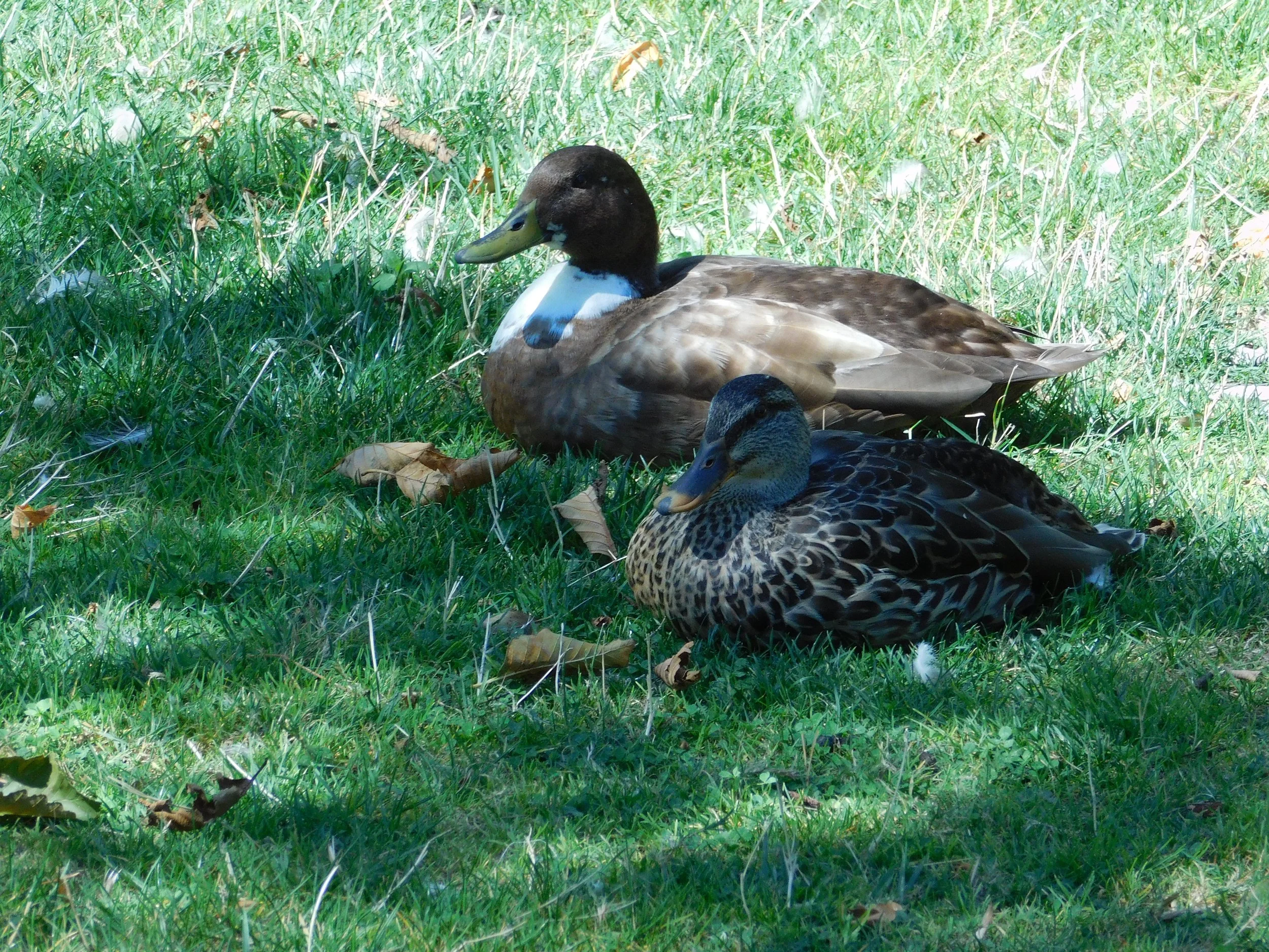 DSCN3248.JPG