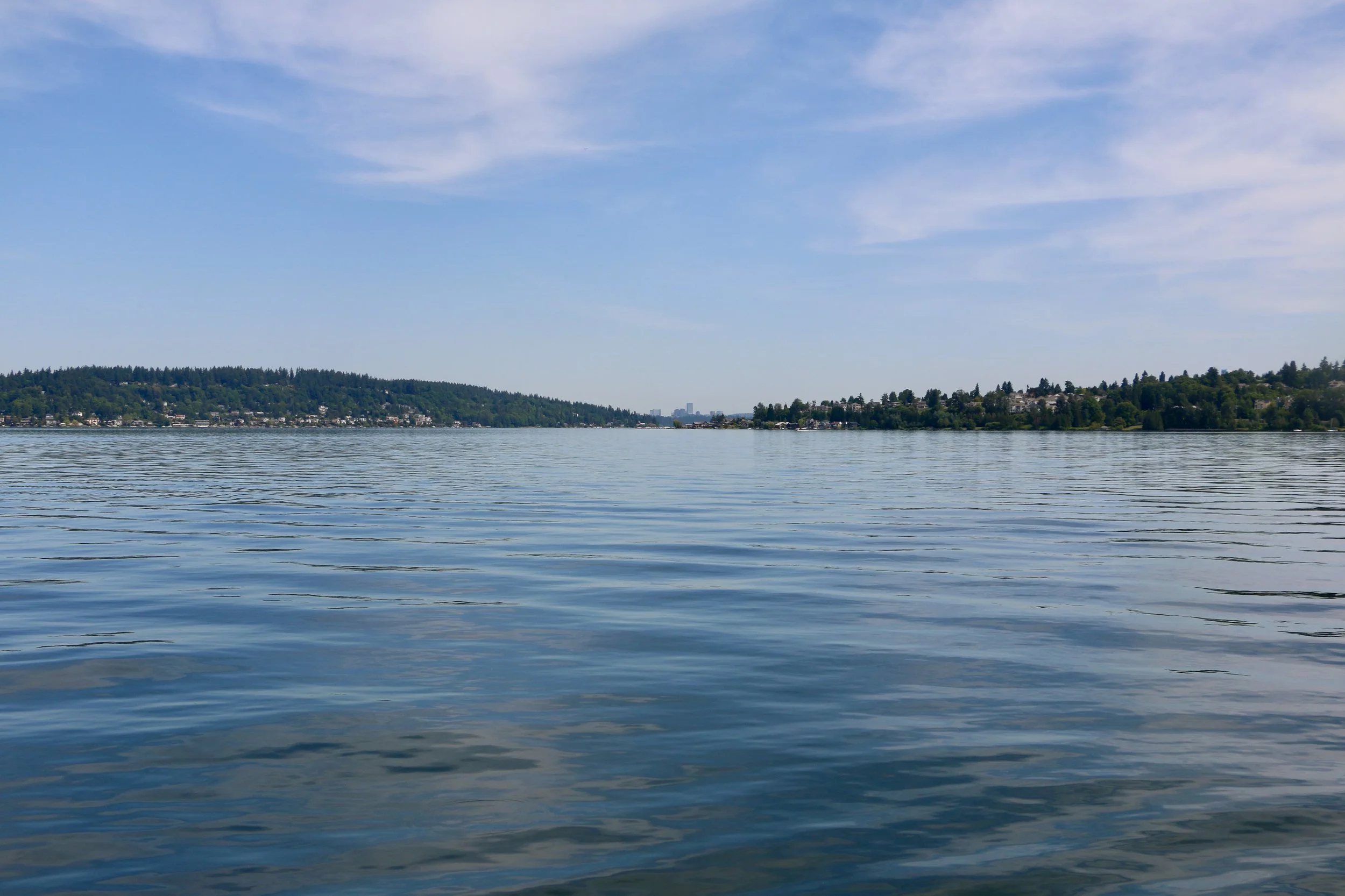 The Scholarship That Shaped My Life