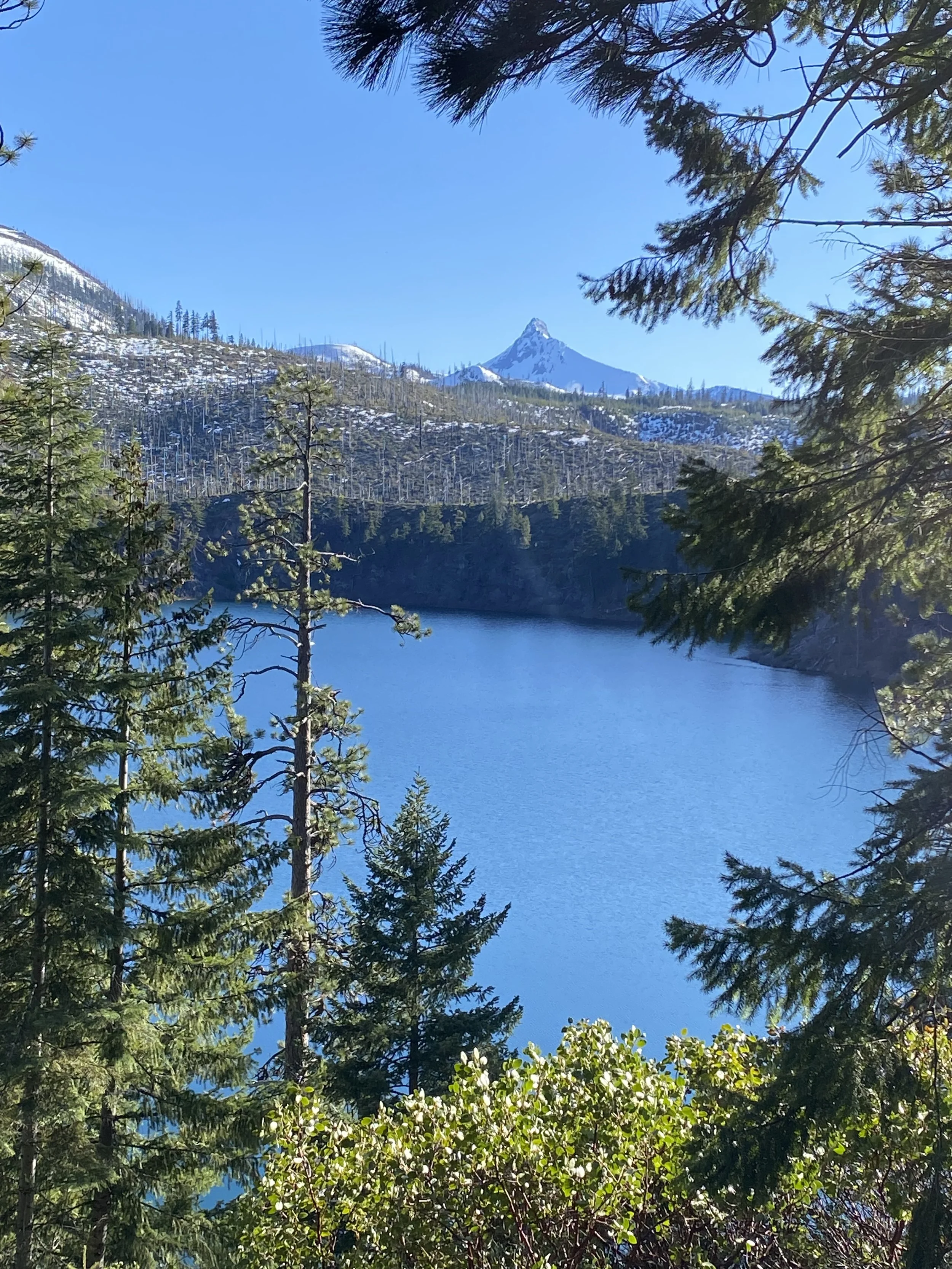 Lake from Forest.jpg