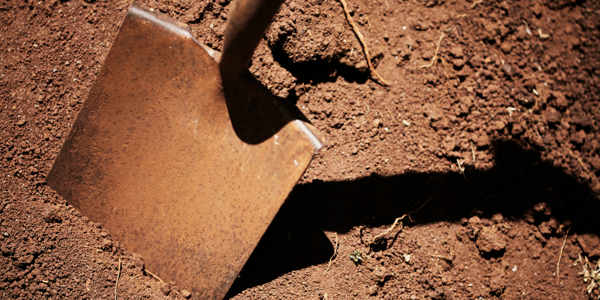 New Jersey Soil Types, Regions and Testing Guide — Shore Systems Group