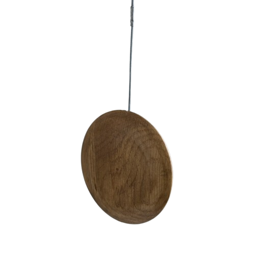 The_Collective_Stinson_Nickel_Hanging_Bell_Ovoid_lifestyle_2-removebg-preview.png
