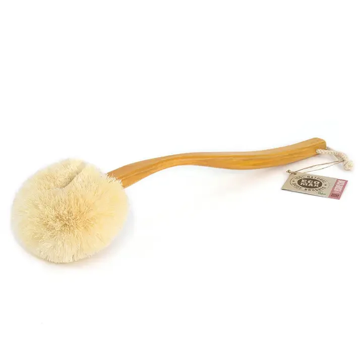 Back Body Brush w Handle All Natural product image 1.webp