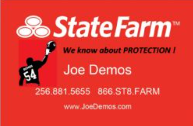 state farm joe demos.png