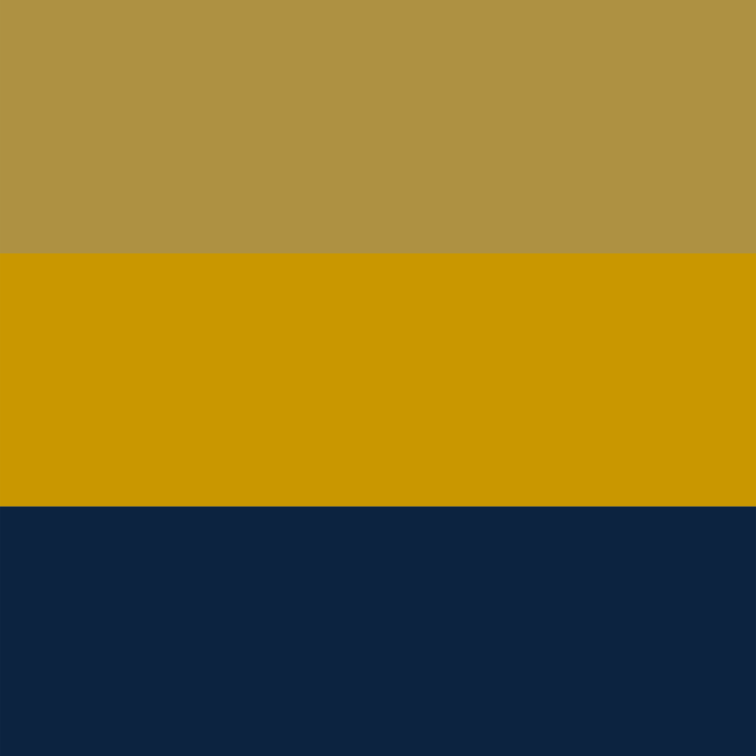 St.Columba's ND Colors.png