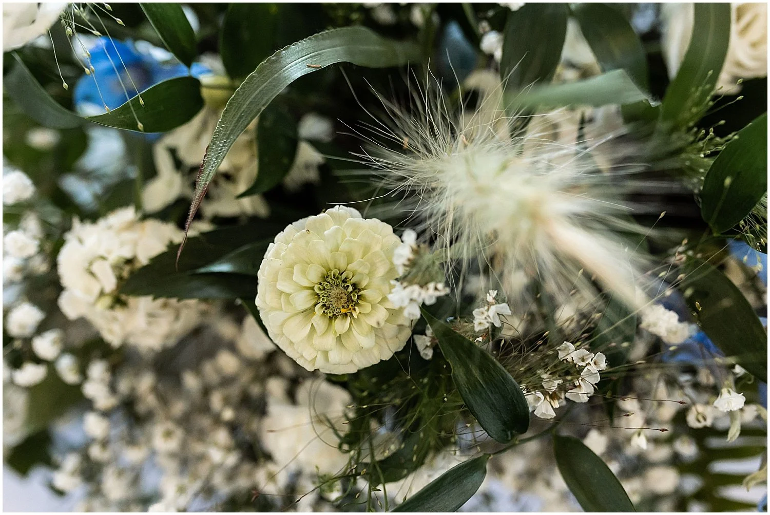 flower.jpg