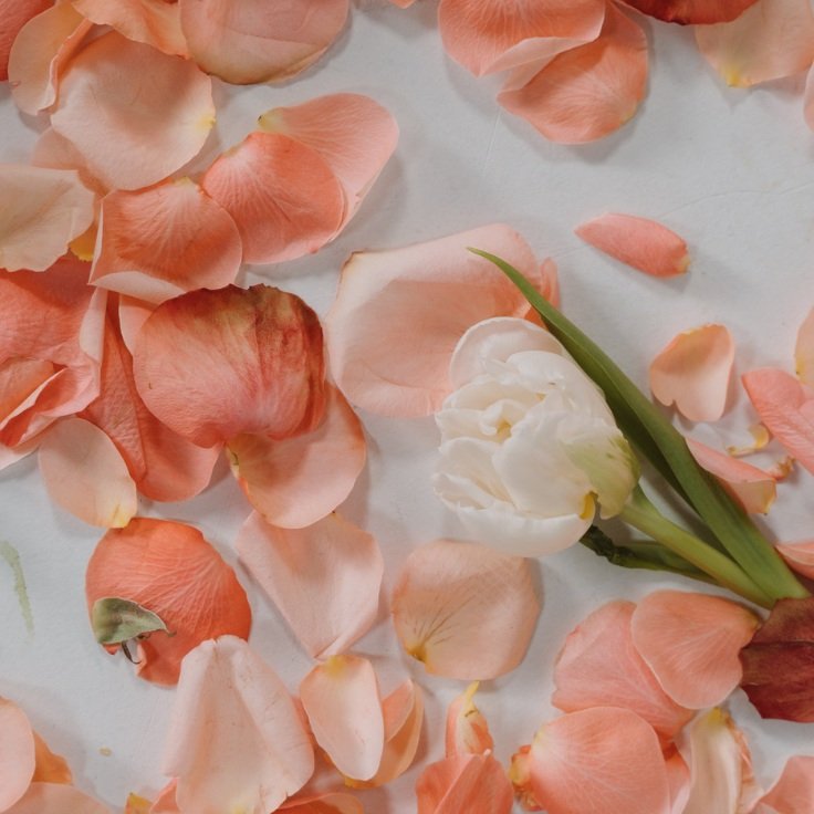 loose wedding flower petals