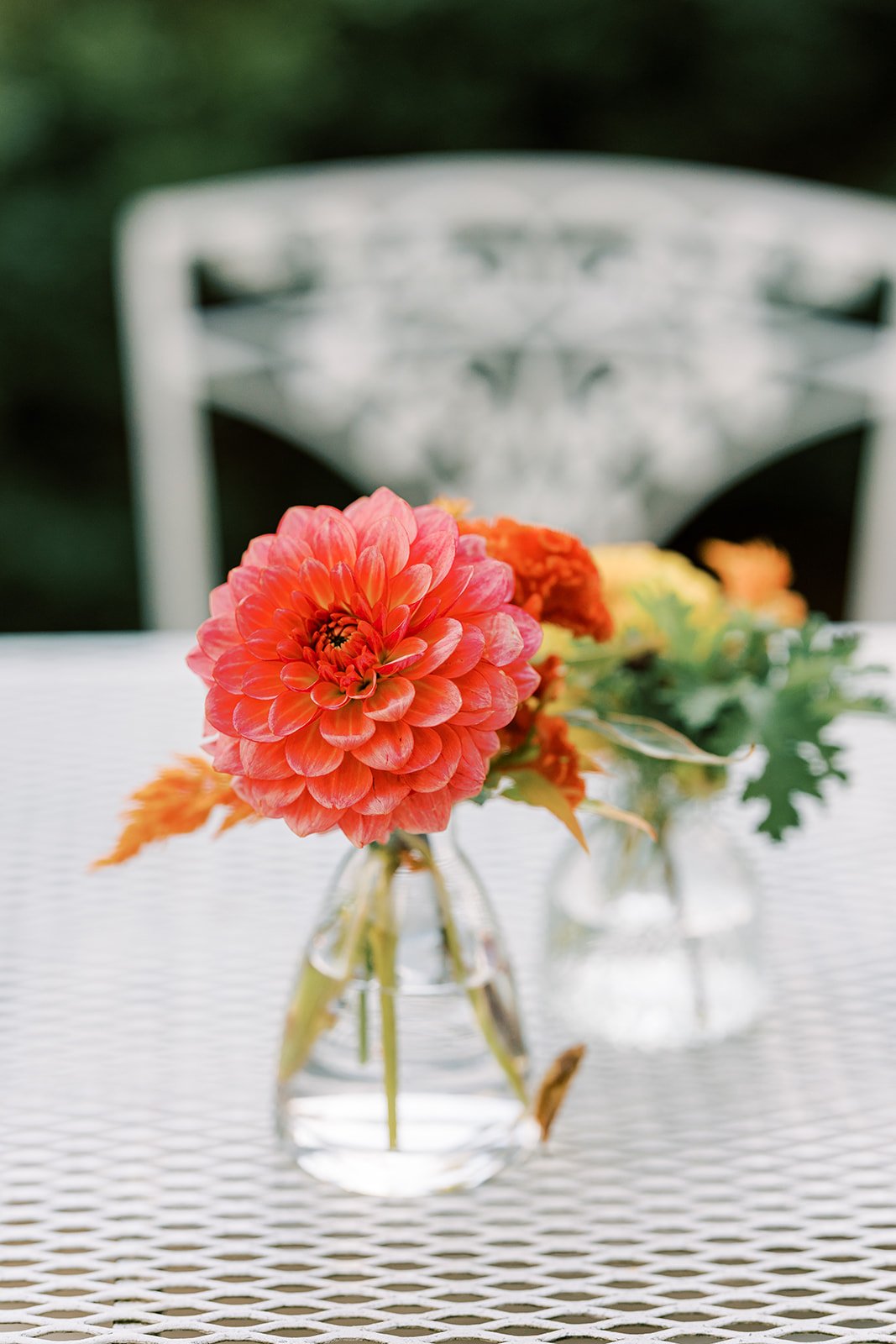 EMWf-SamanthaJayPhoto-991.jpg