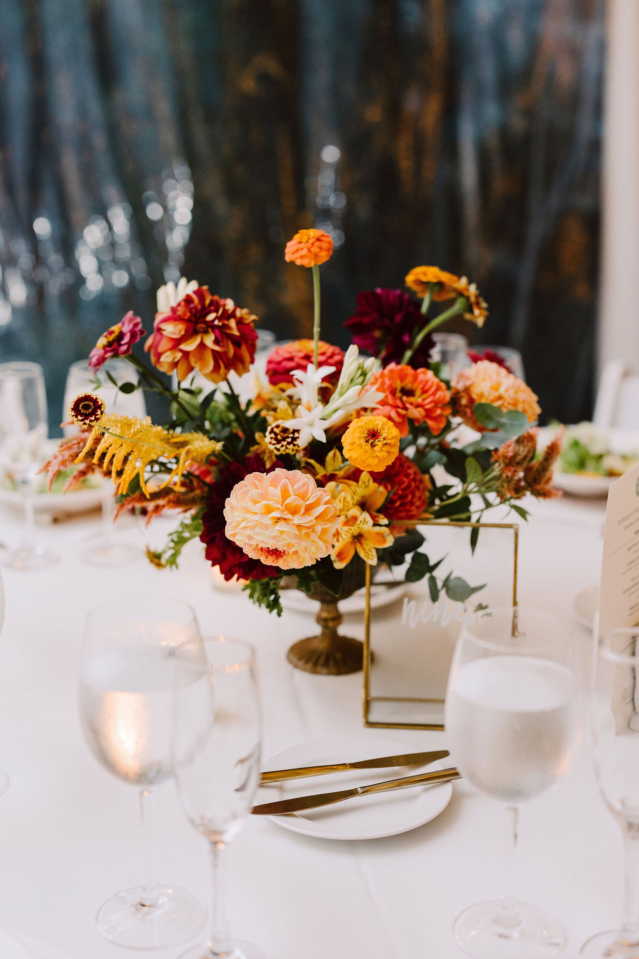 sara_mike_reception-26.jpg