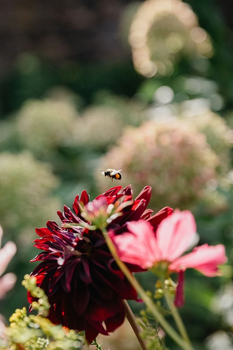 Parque-Ridley-Creek-Wedding-Flowers_0100.jpg
