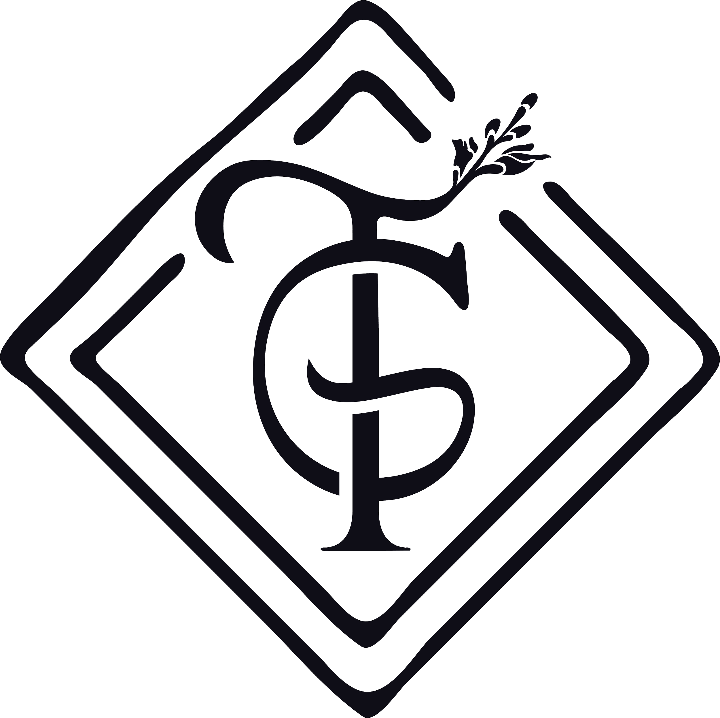 Ornate monogram with letters C and S intertwined, featuring a decorative flourish and angular borders, creating an elegant emblem design.