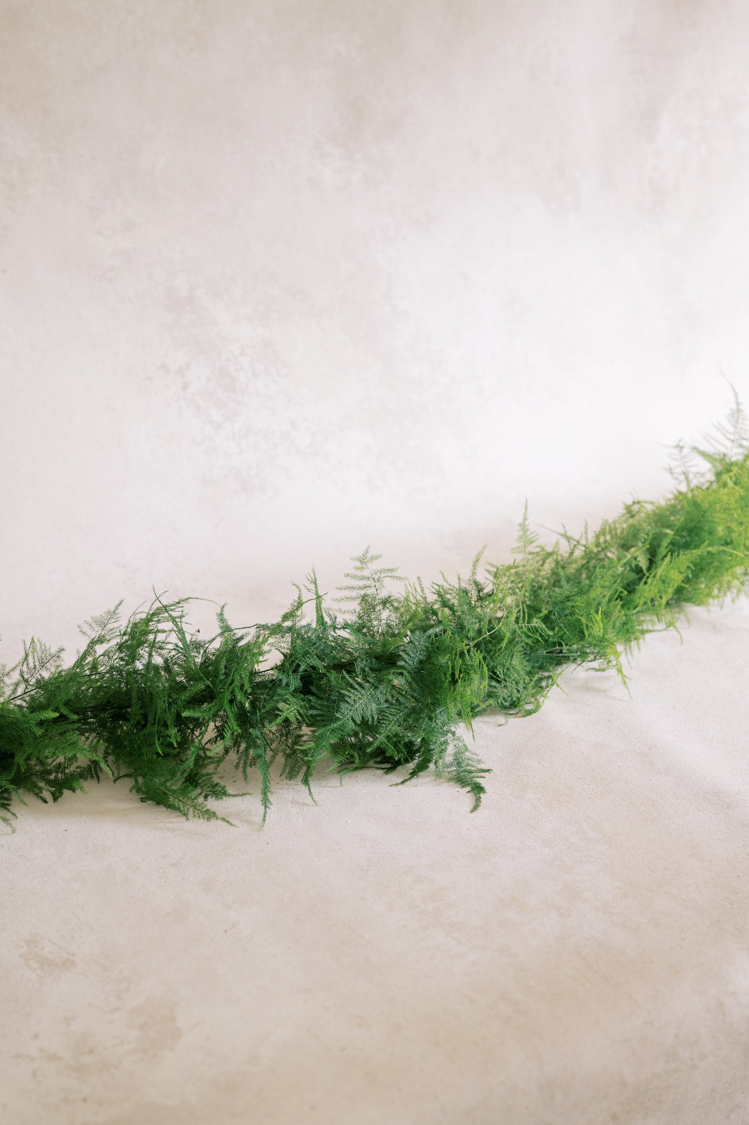 TWIG-alacarte-72.jpg